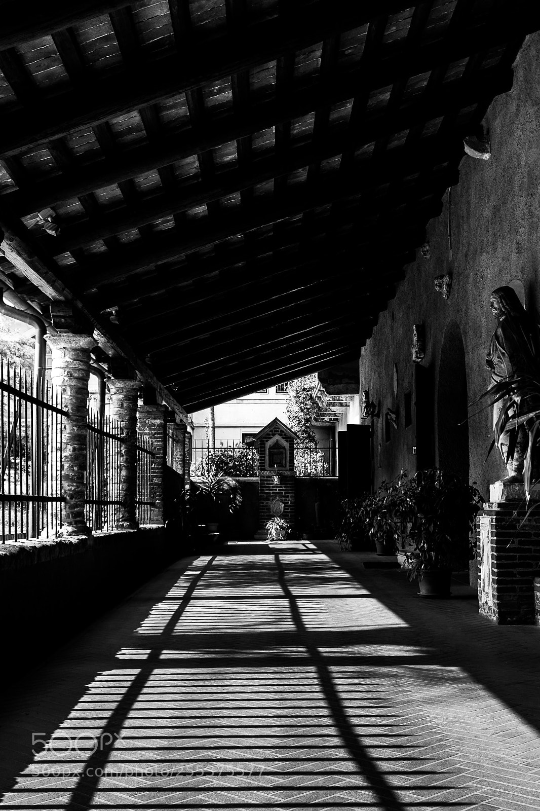 Nikon 1 J5 sample photo. ***** photography