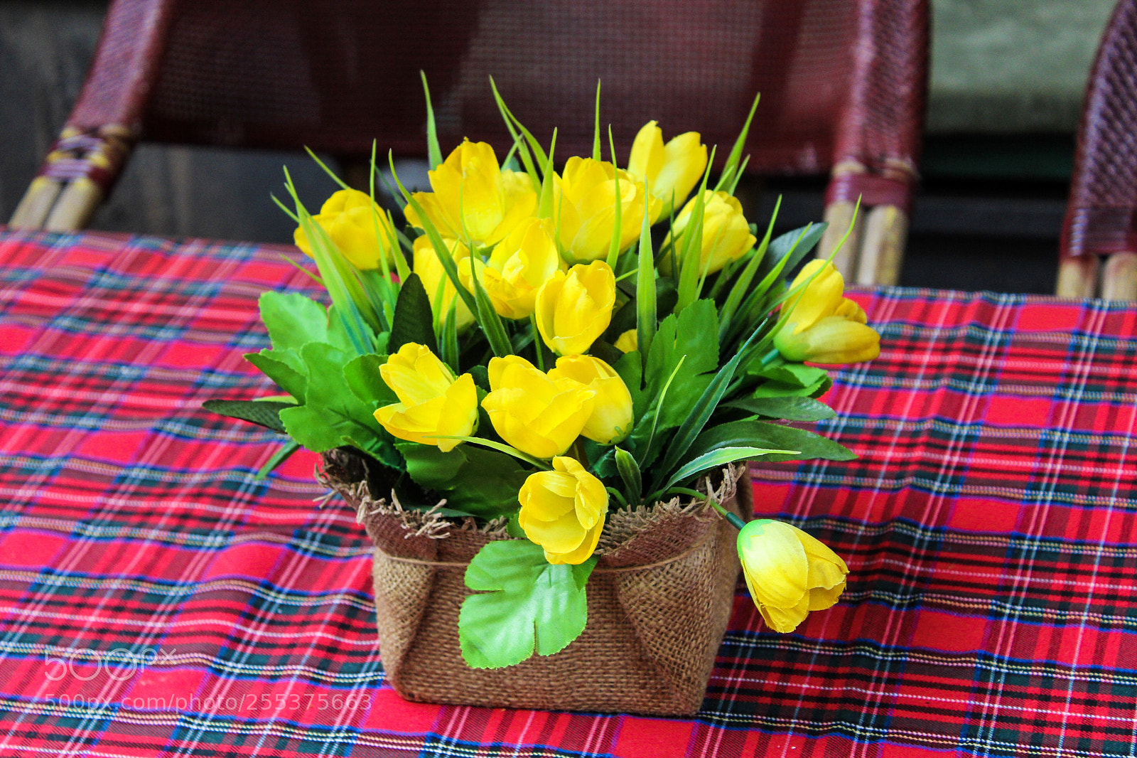 Canon EOS 1200D (EOS Rebel T5 / EOS Kiss X70 / EOS Hi) sample photo. Yellow tulips photography