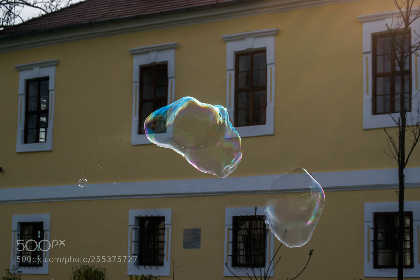 Nikon D3300 sample photo. Bubbles photography