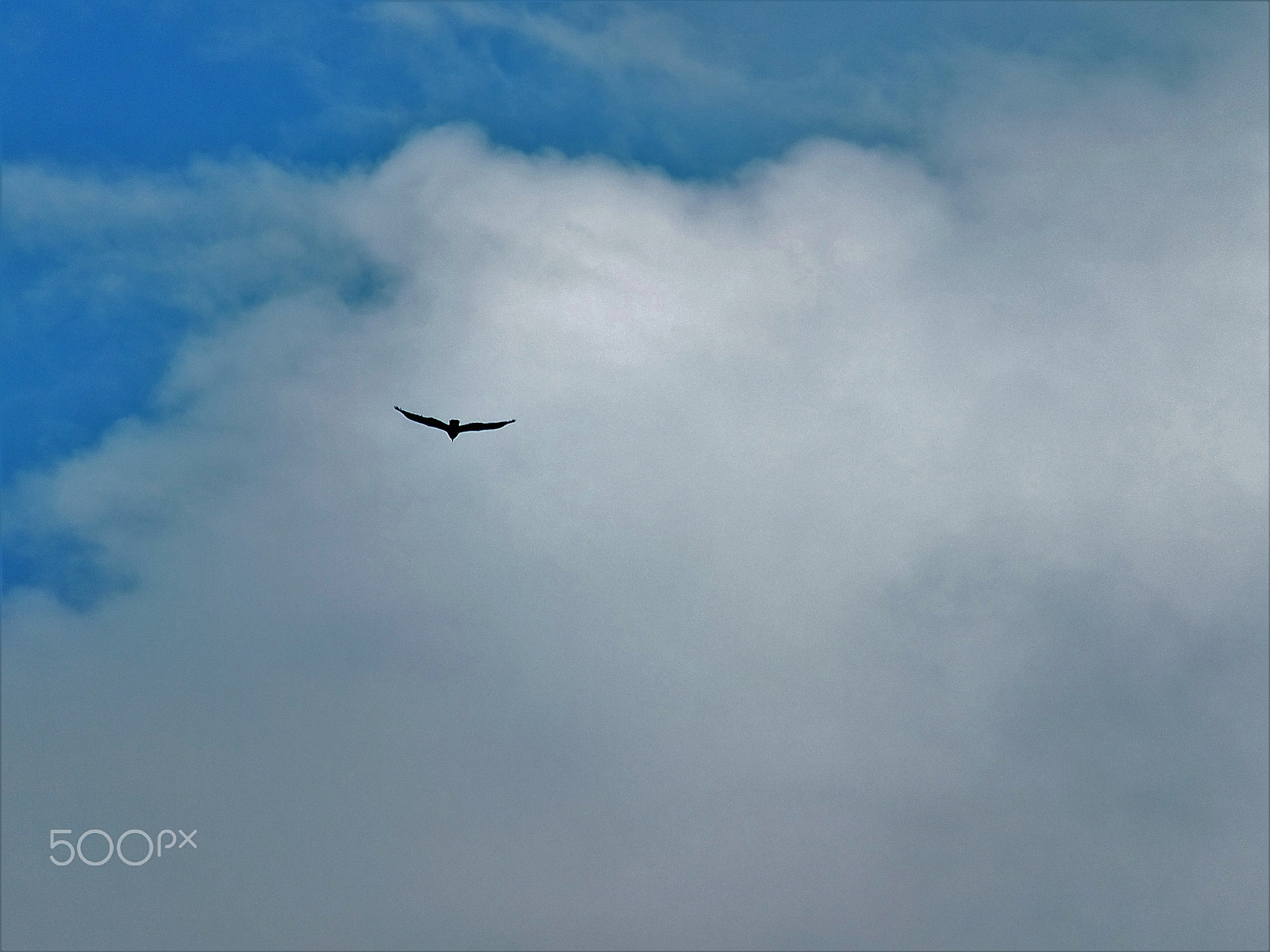 Fujifilm FinePix F750EXR sample photo