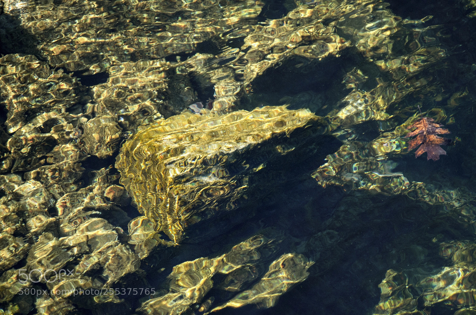 Pentax K-50 sample photo. Untitled photography