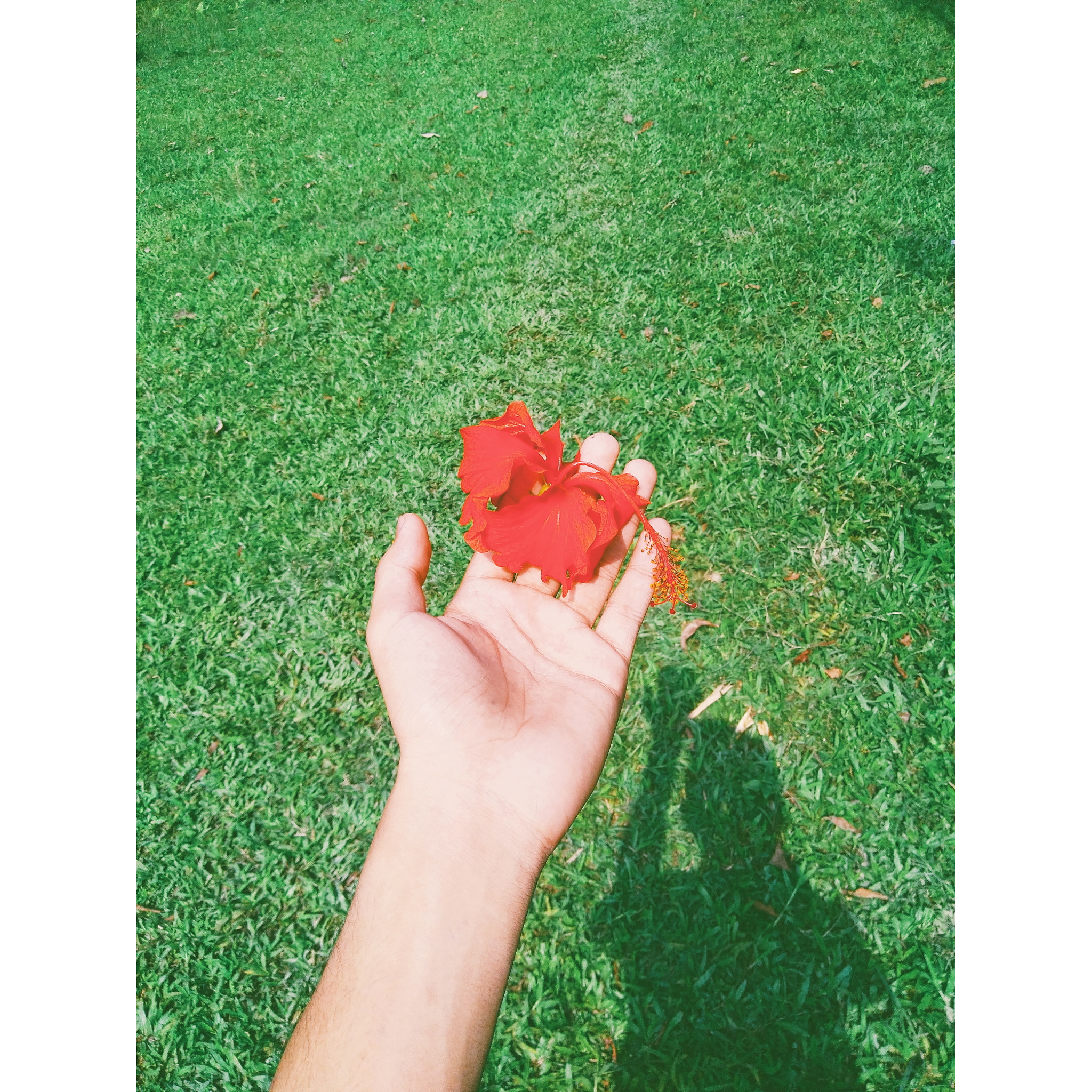 QCOM-AA QCAM-AA sample photo. Summer is coming photography