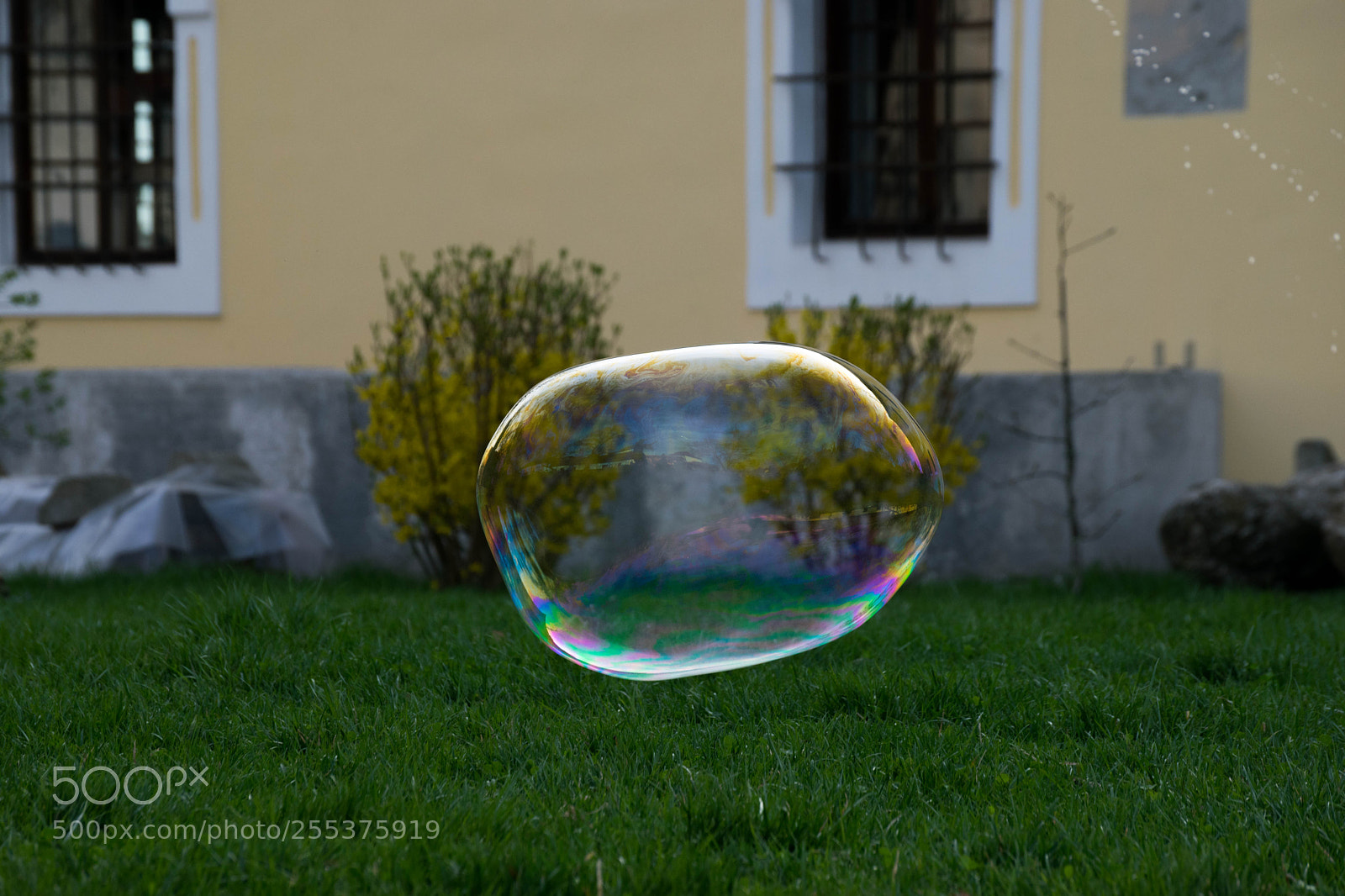 Nikon D3300 sample photo. Bubbles photography