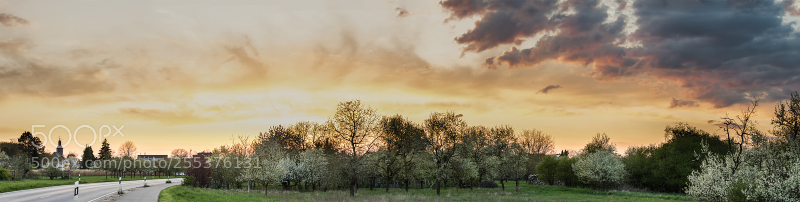 Nikon D7200 sample photo. Spring evening photography