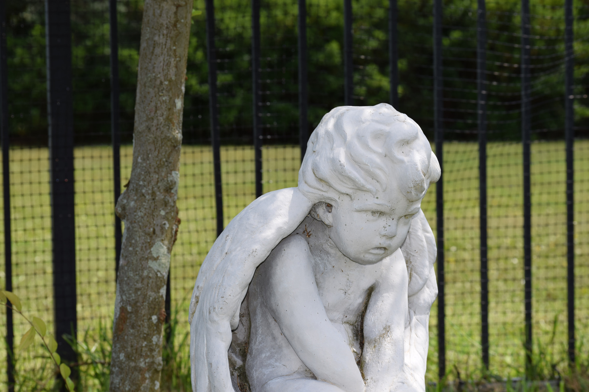 Nikon D3300 sample photo. Dsc photography