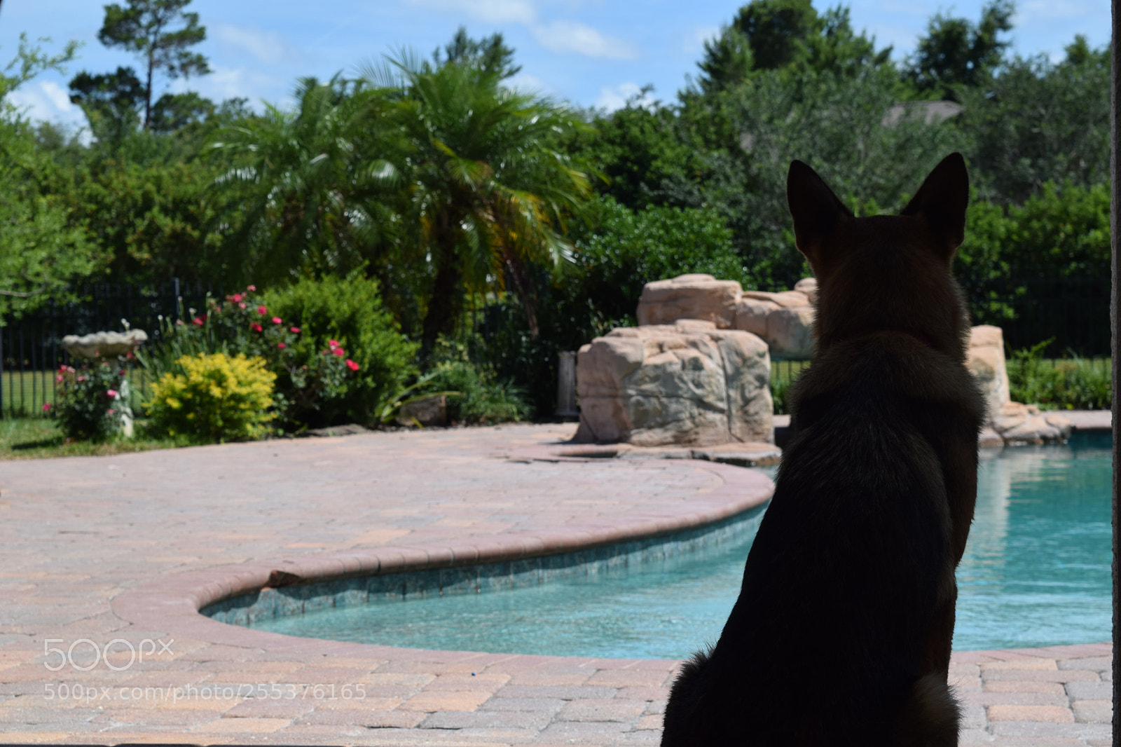 Nikon D3300 sample photo. Dsc photography