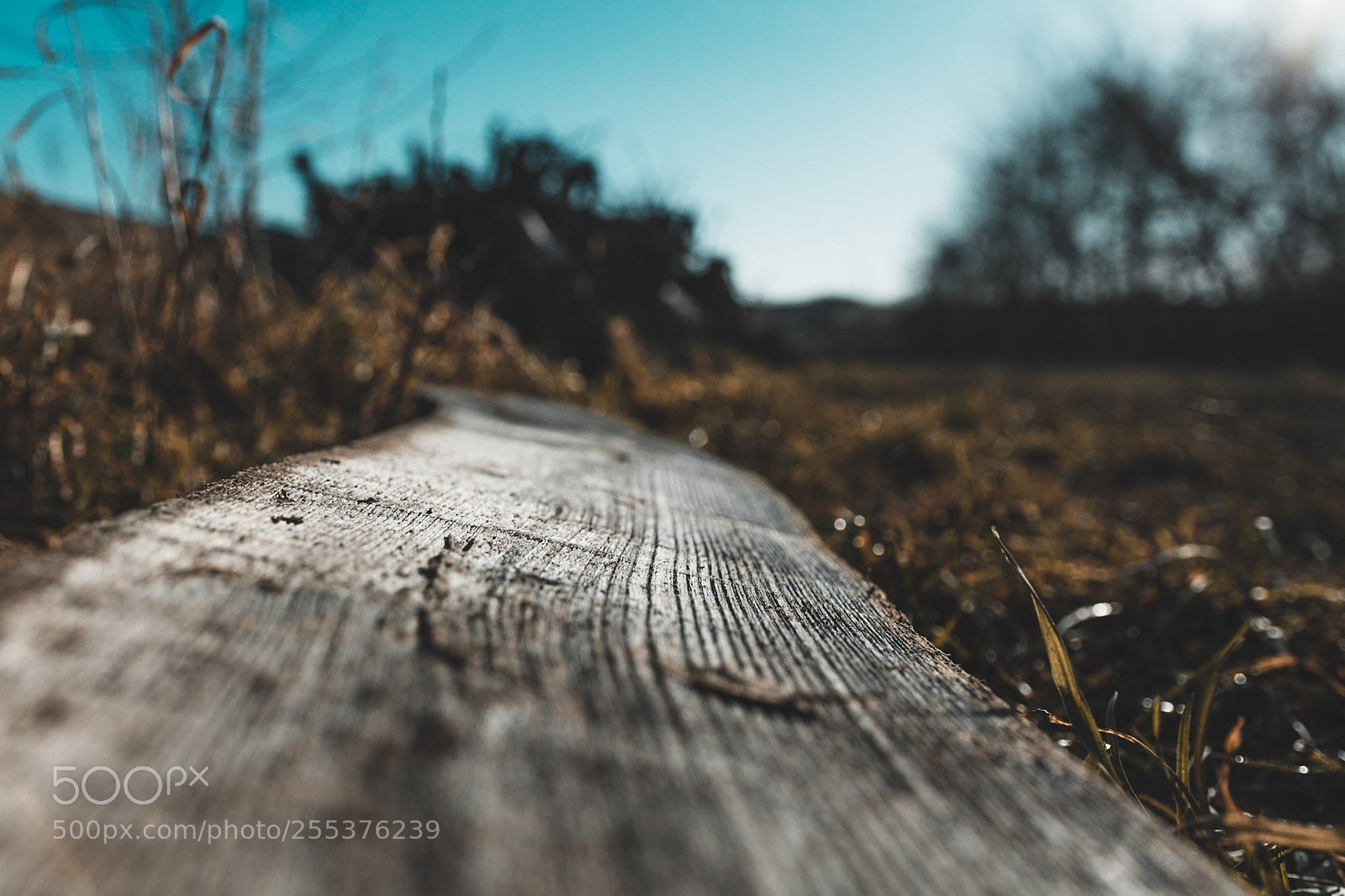 Nikon D7100 sample photo. Untitled photography