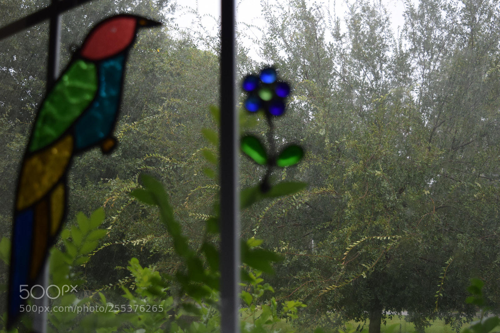 Nikon D3300 sample photo. () photography
