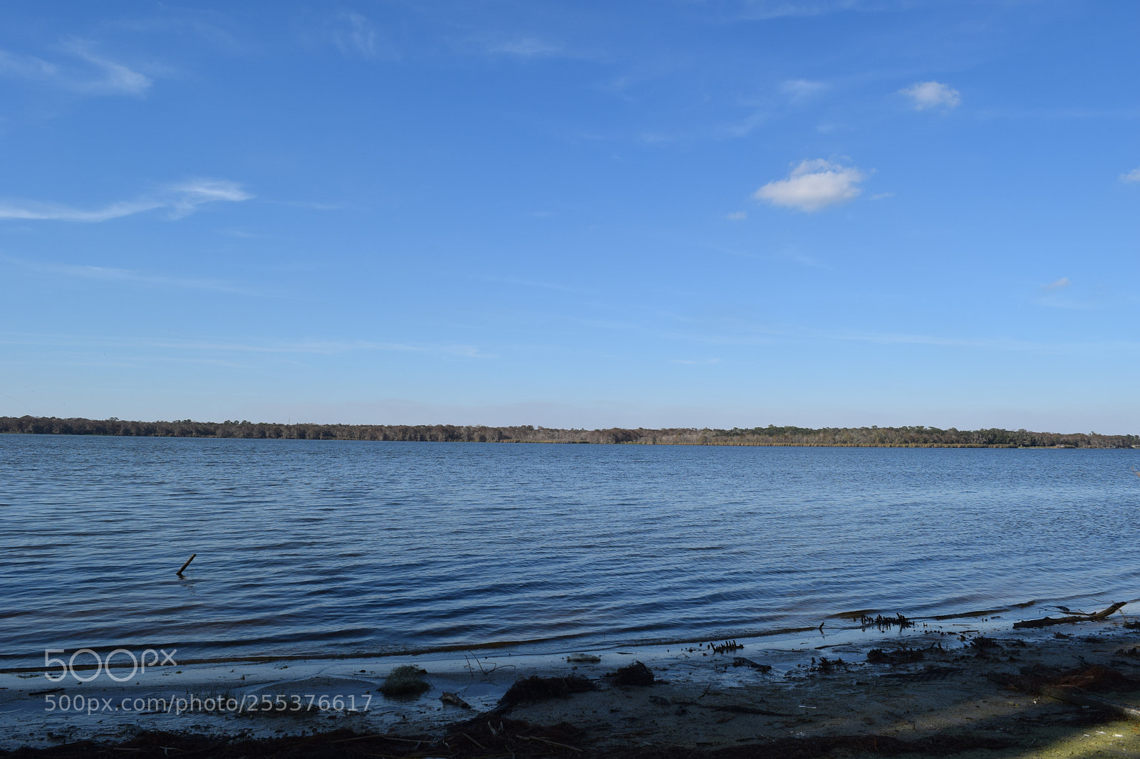 Nikon D3300 sample photo. Dsc photography