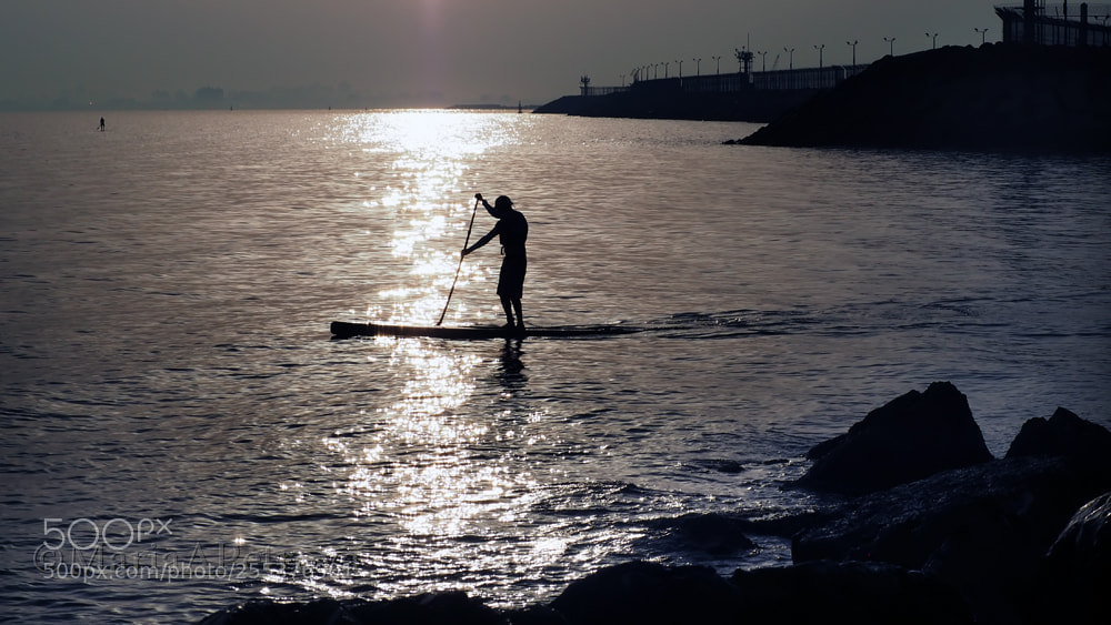 Olympus OM-D E-M5 II sample photo. Sup photography