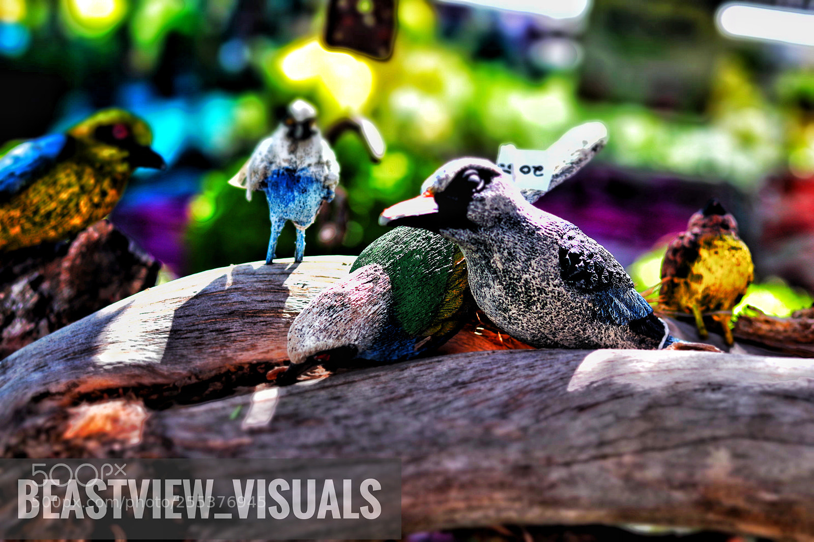 Canon EOS 200D (EOS Rebel SL2 / EOS Kiss X9) sample photo. Birds in. the trap photography