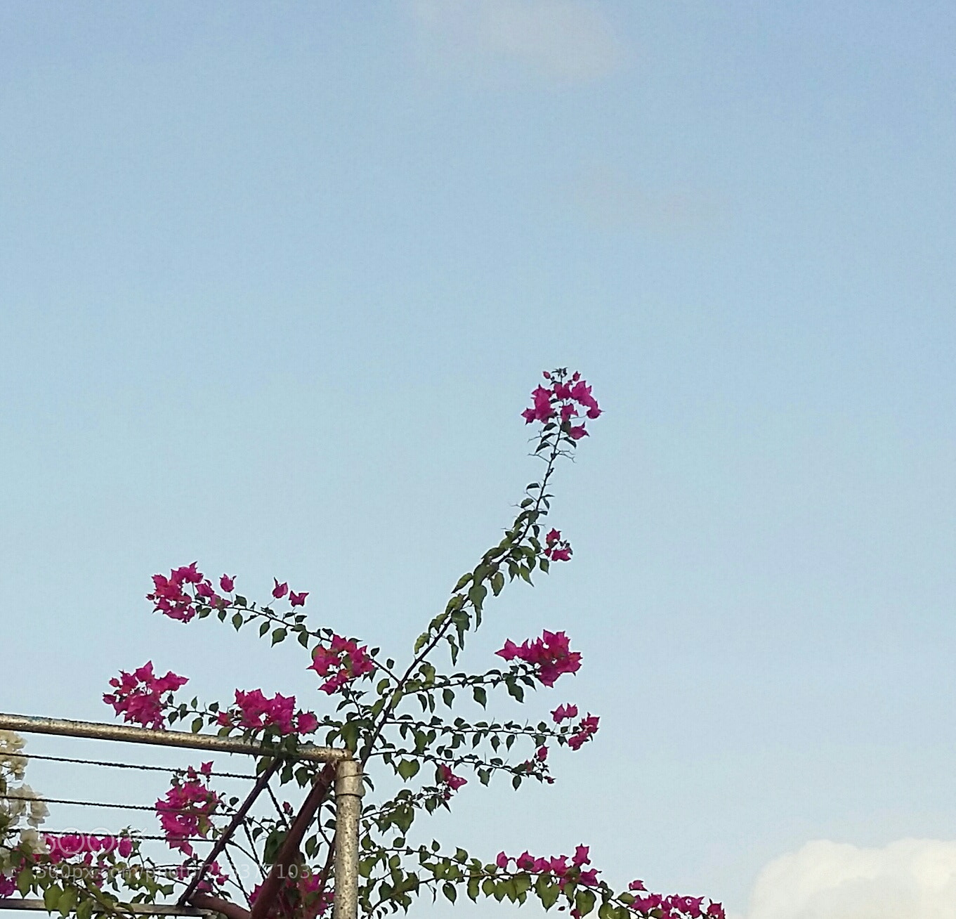 Samsung Galaxy Grand Prime sample photo. Untitled photography