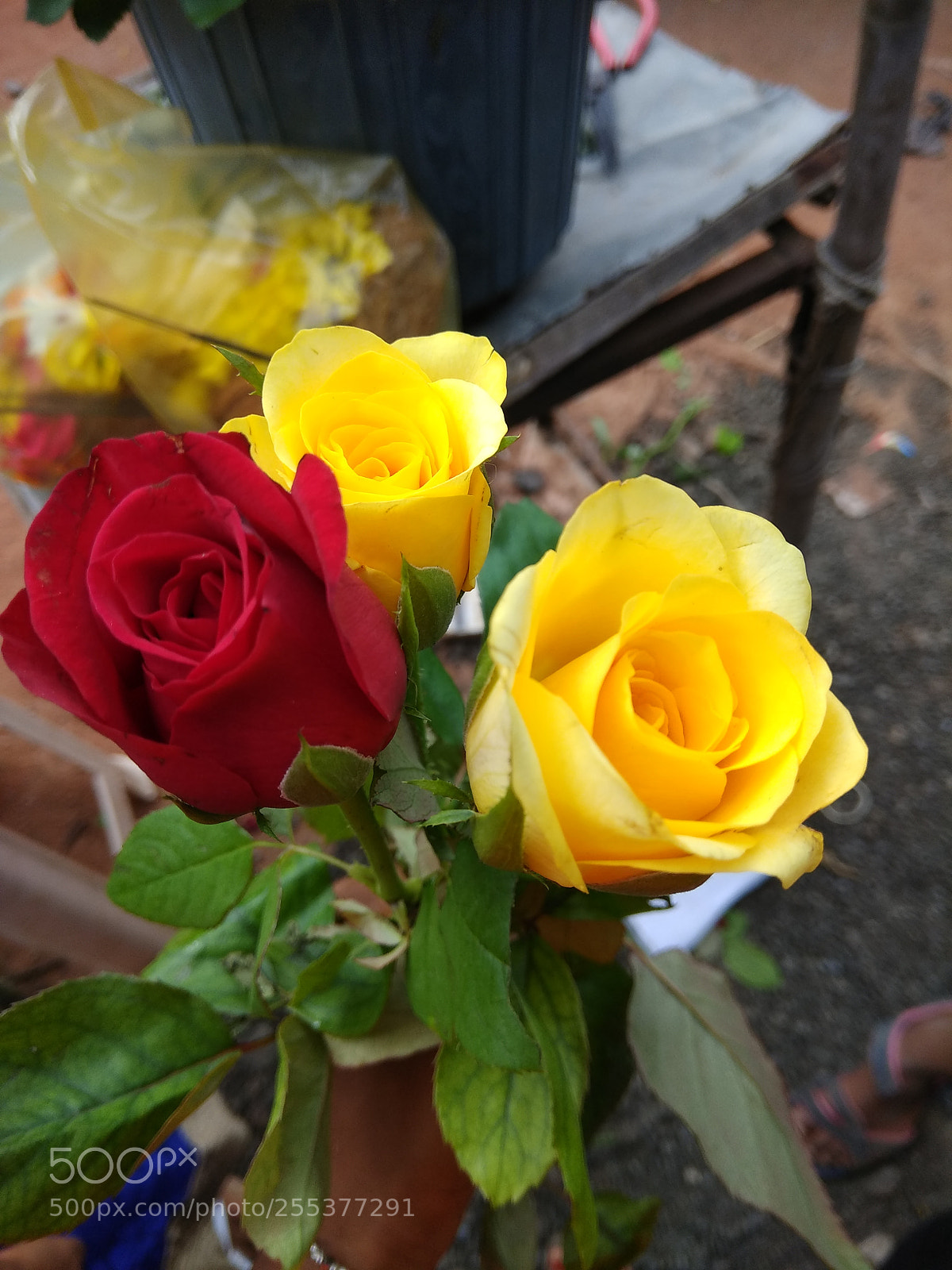 Xiaomi Redmi Note 4 sample photo. Untitled photography