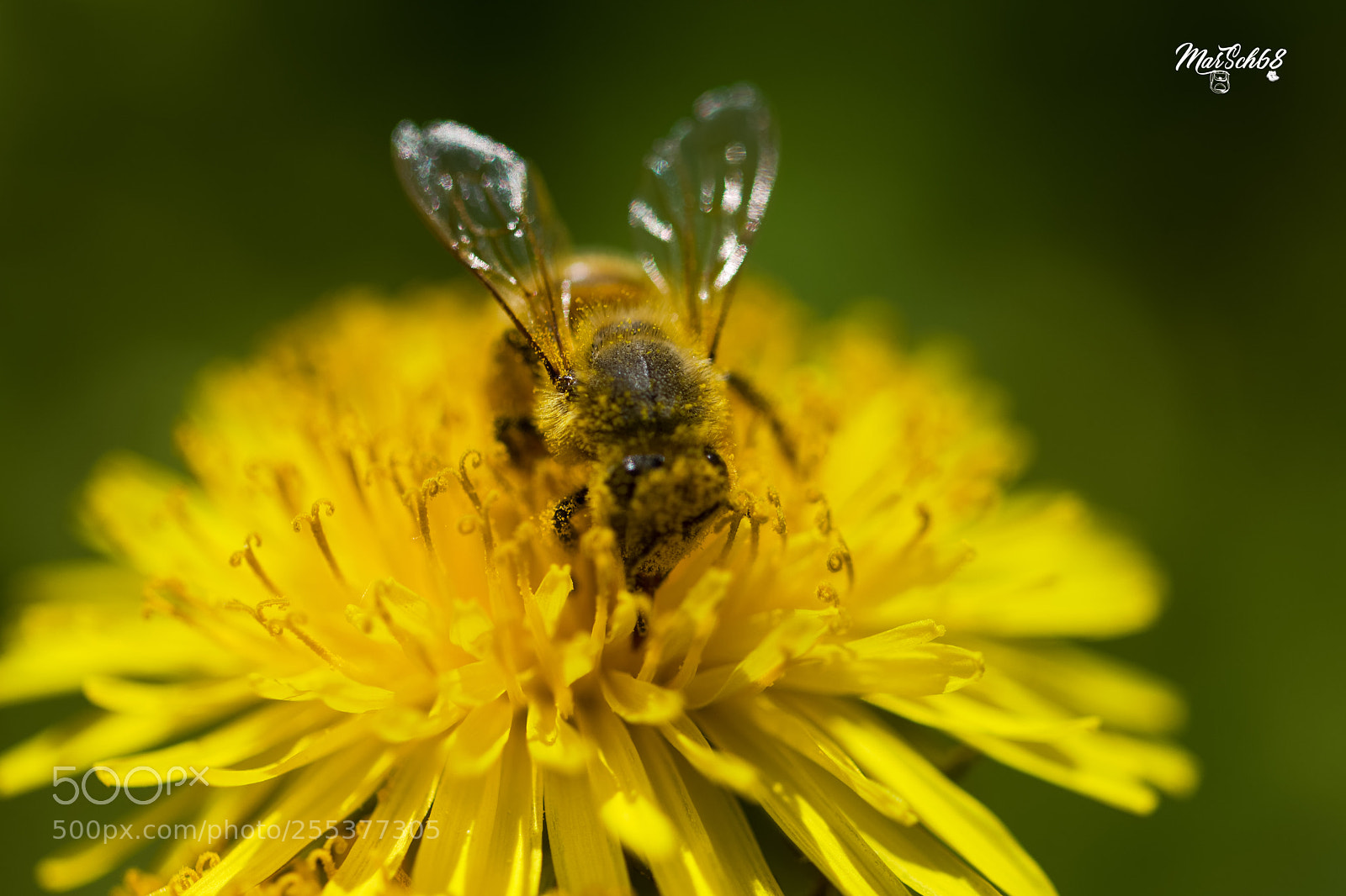Nikon D7200 sample photo. Bon appétit! photography