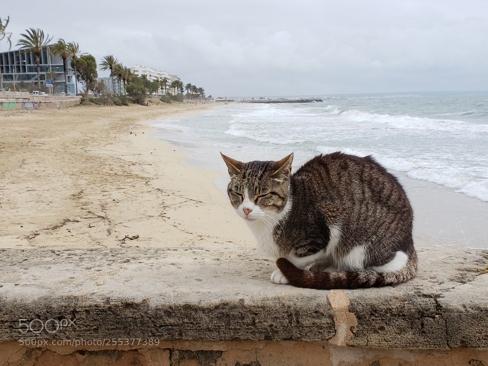 Samsung Galaxy S9+ sample photo. 20180413_153807.jpg photography