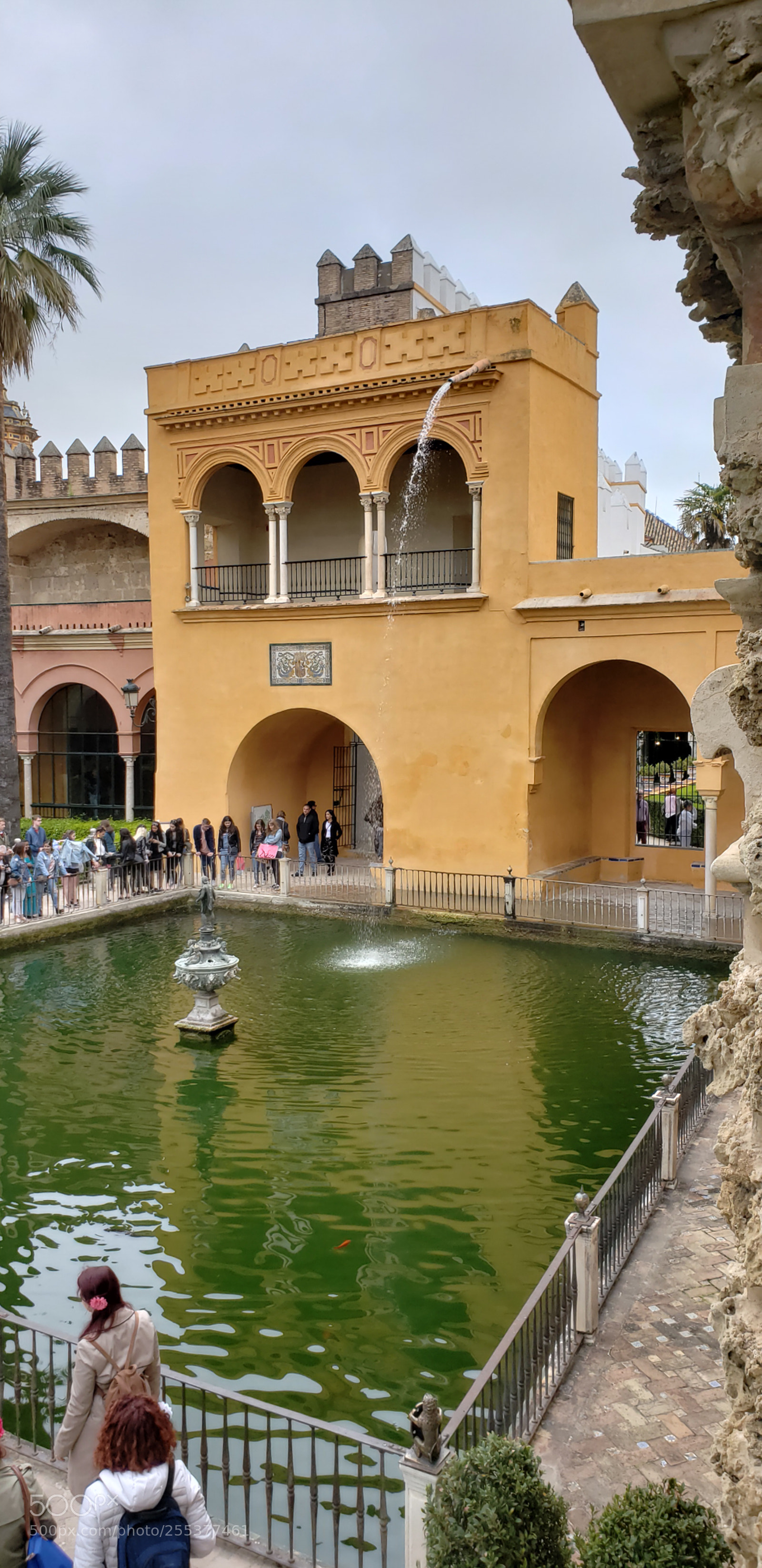 Samsung Galaxy S9+ sample photo. 20180415_154204.jpg photography