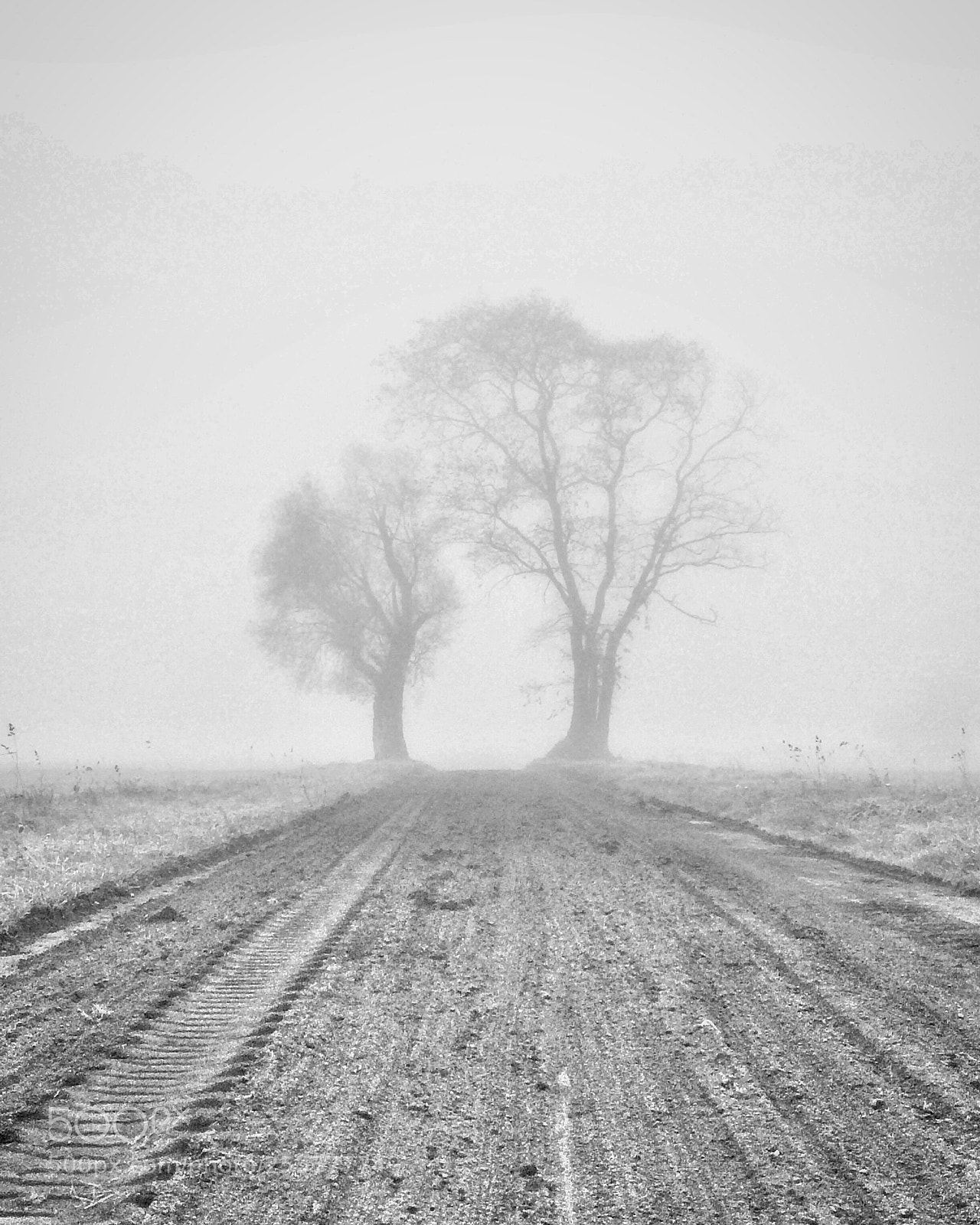 Apple iPhone 5s sample photo. Fog photography
