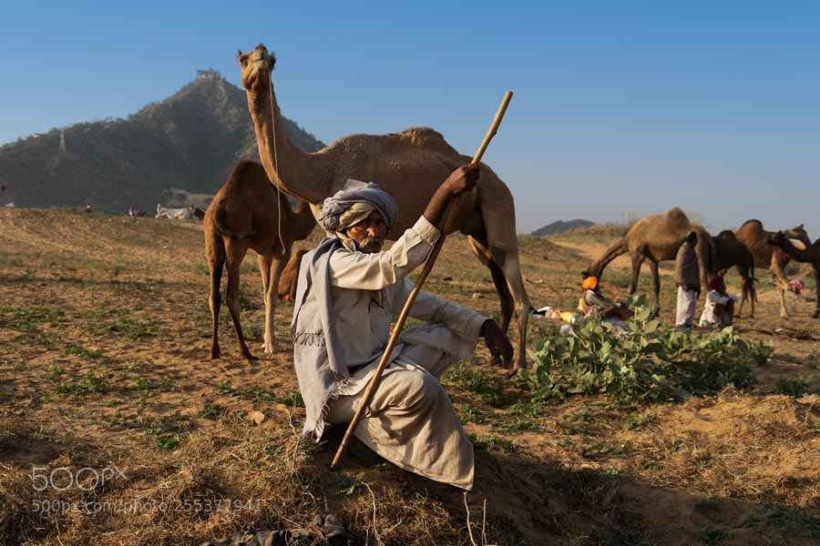 Sony a7 sample photo. Pushkar mela. rajasthan photography