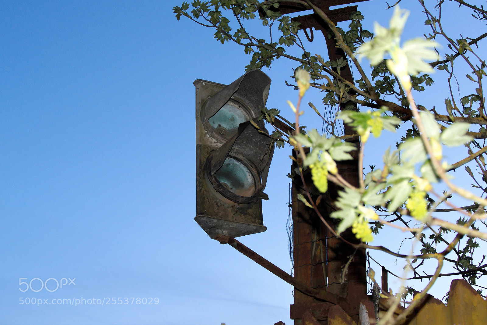 Panasonic Lumix DMC-FZ1000 sample photo. Kkk () photography