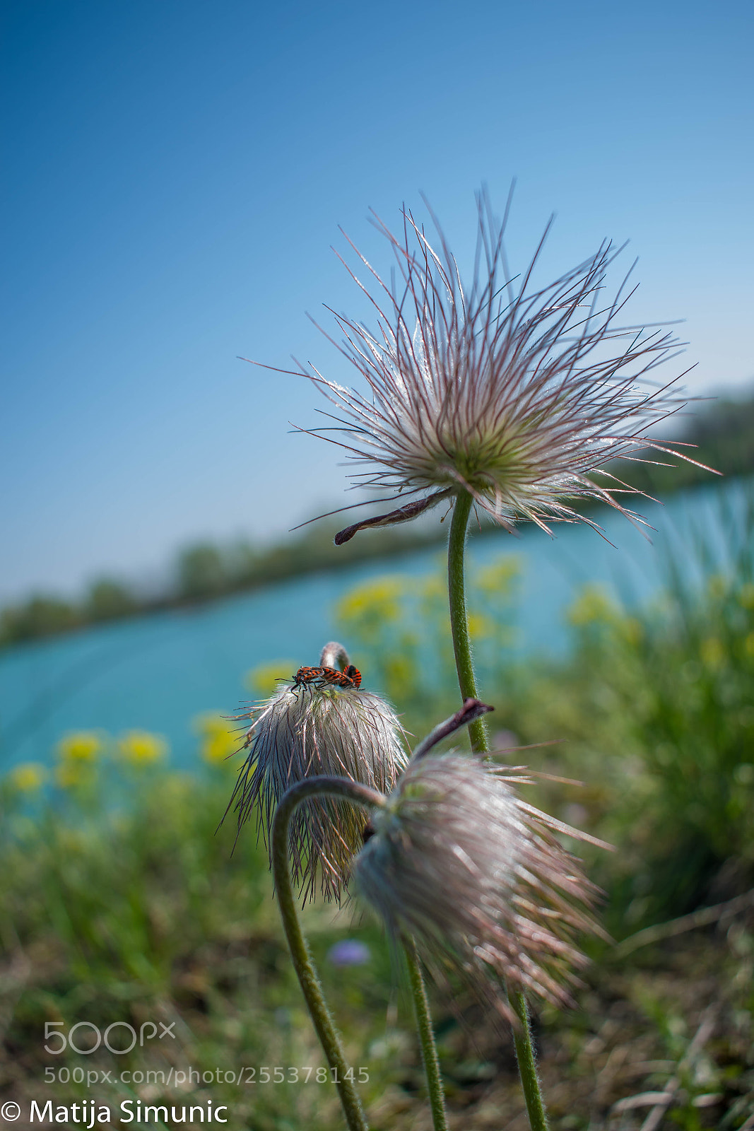 Nikon D5300 sample photo. Rock stars photography
