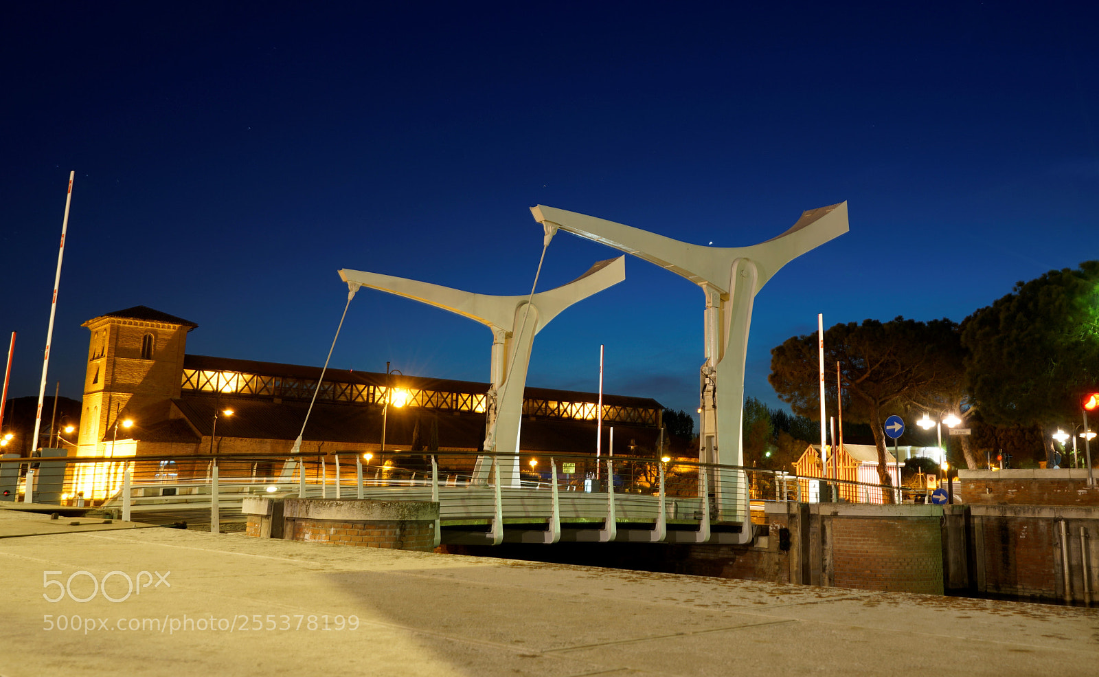 Sony a7R II sample photo. Dsc photography
