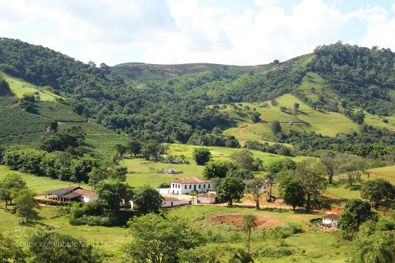 Canon EOS 1300D (EOS Rebel T6 / EOS Kiss X80) sample photo. Coffe farm in minas photography