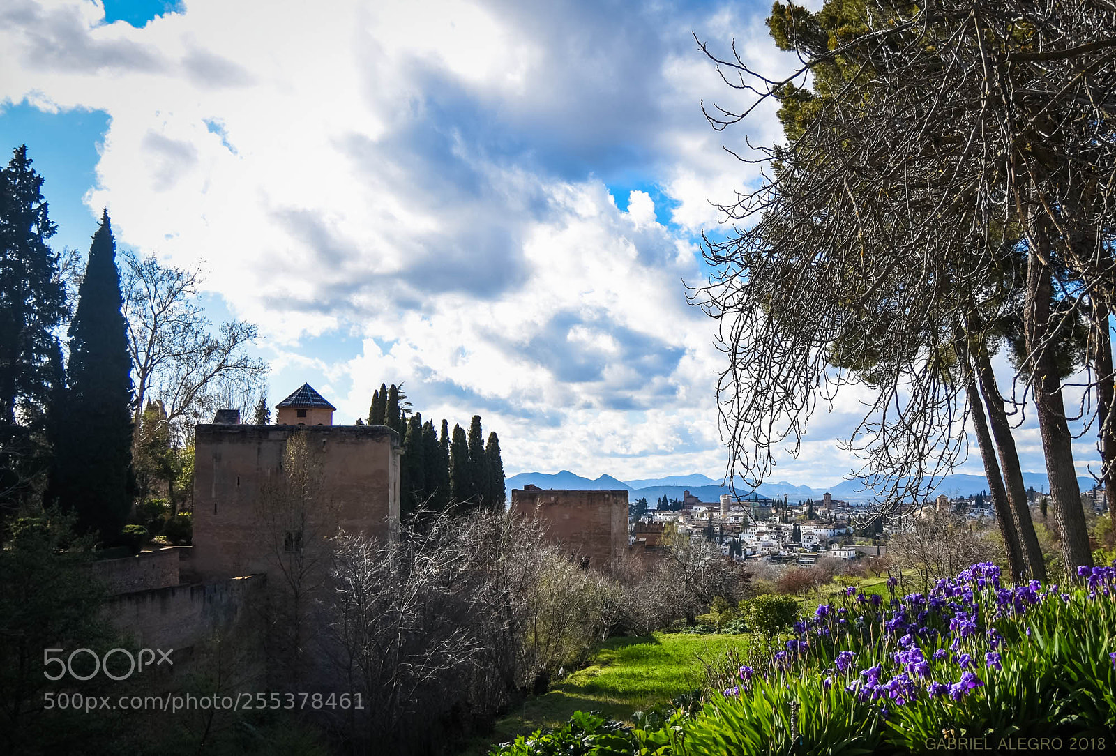 Nikon D7200 sample photo. Verde alhambra con lirios photography
