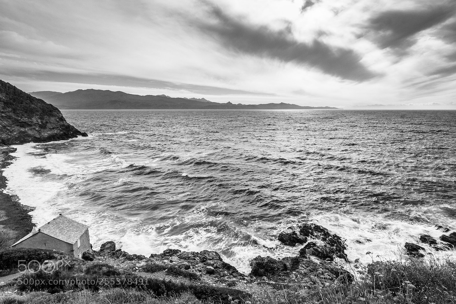 Canon EOS 40D sample photo. No colors sea photography