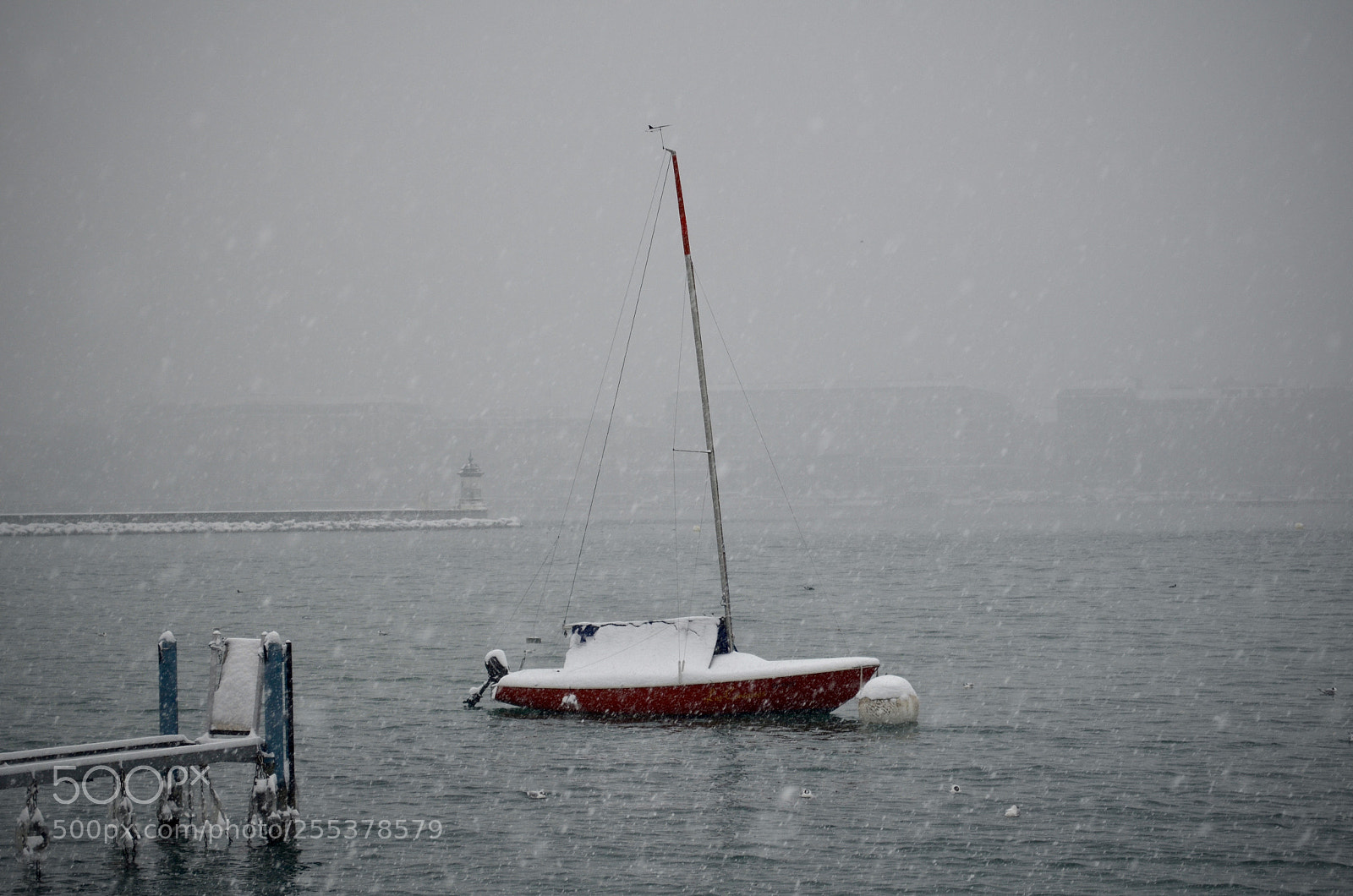 Nikon D5100 sample photo. Snowstorm! photography
