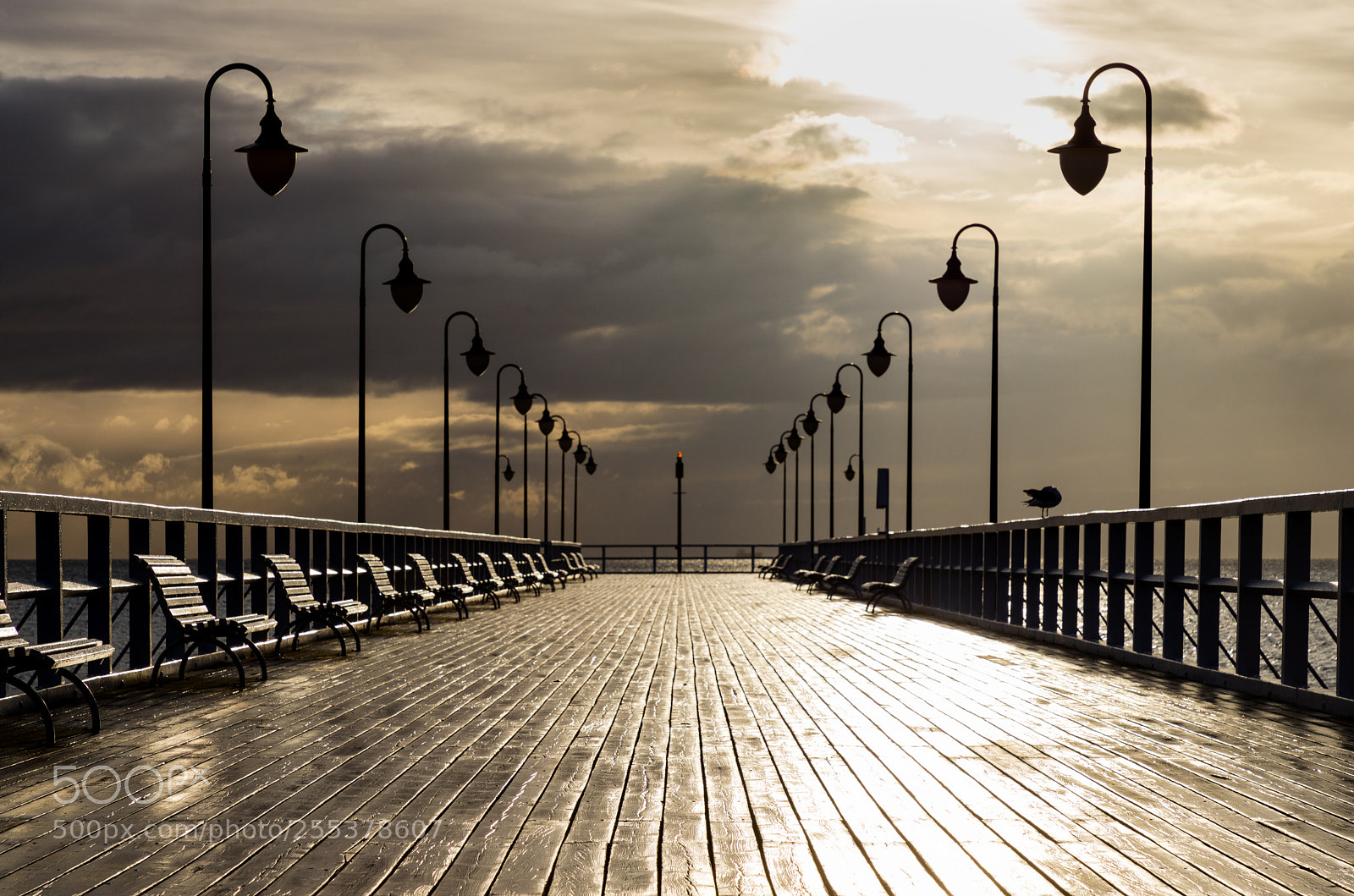 Canon EOS 6D Mark II sample photo. Zota godzina przy orowskim photography