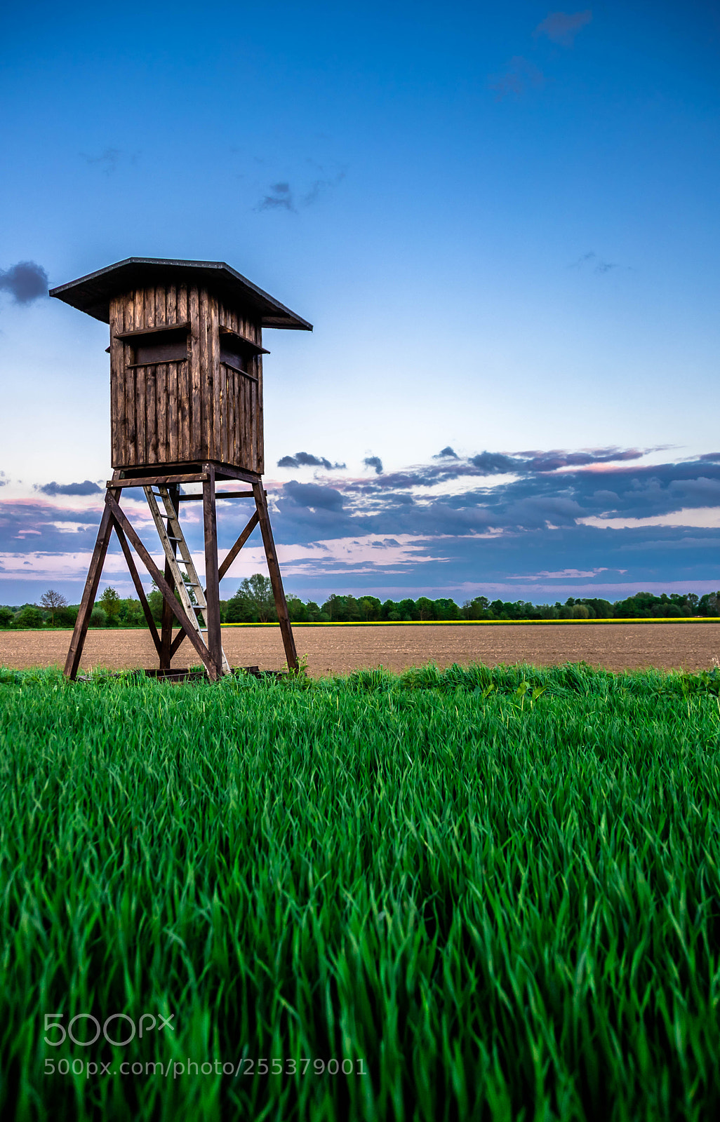 Canon EOS 6D Mark II sample photo. Auf dem lande 2 photography
