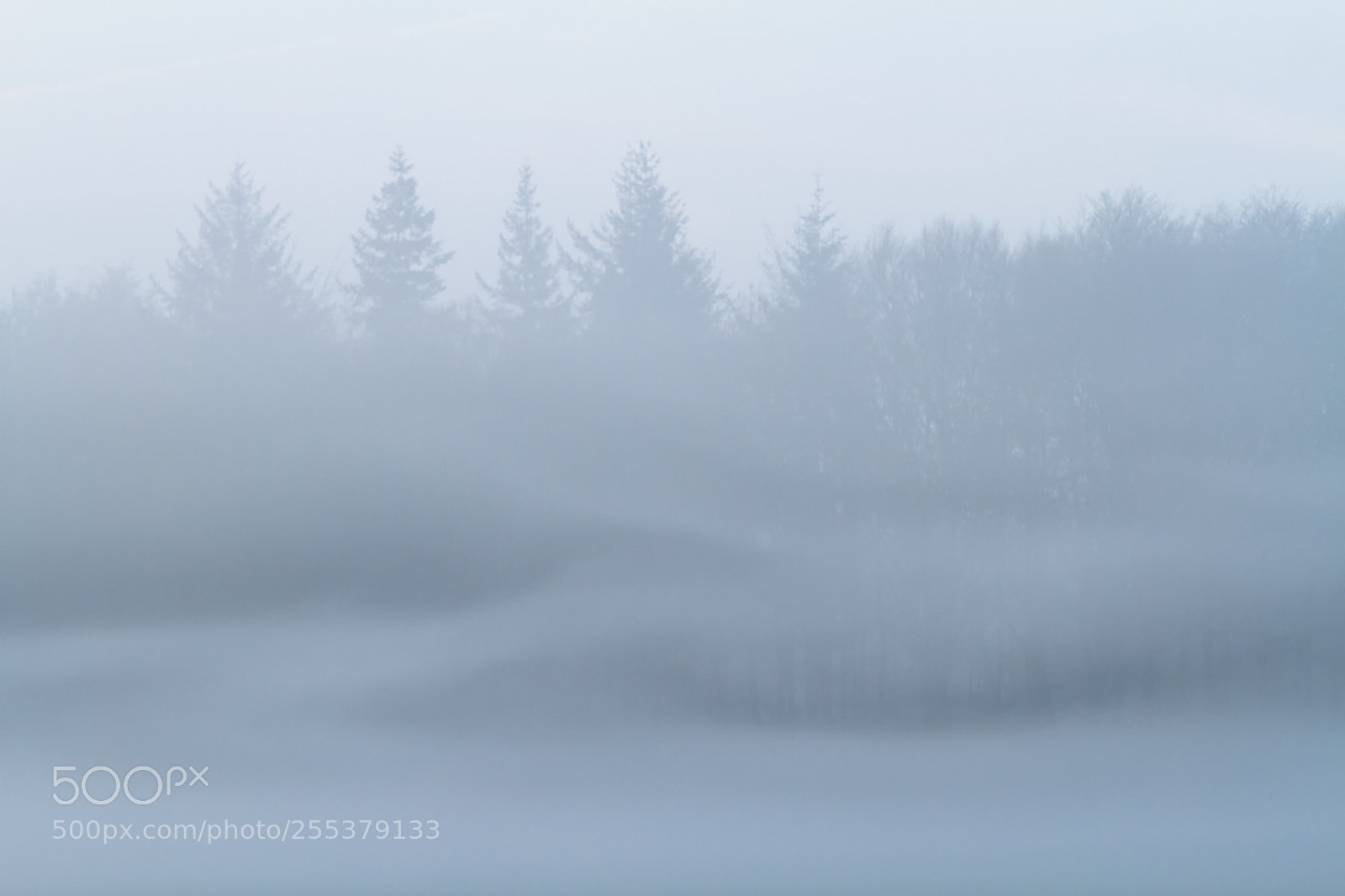 Canon EOS 7D sample photo. Mist photography