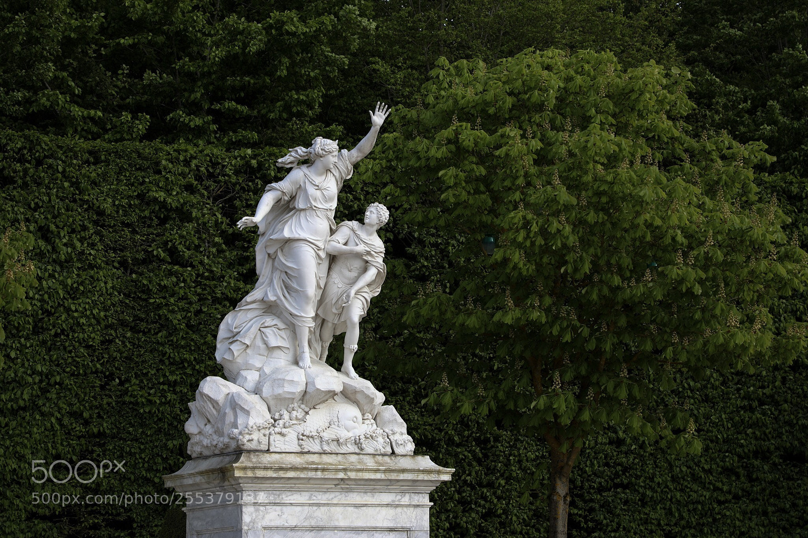 Canon EOS 5D Mark IV sample photo. Untitled photography