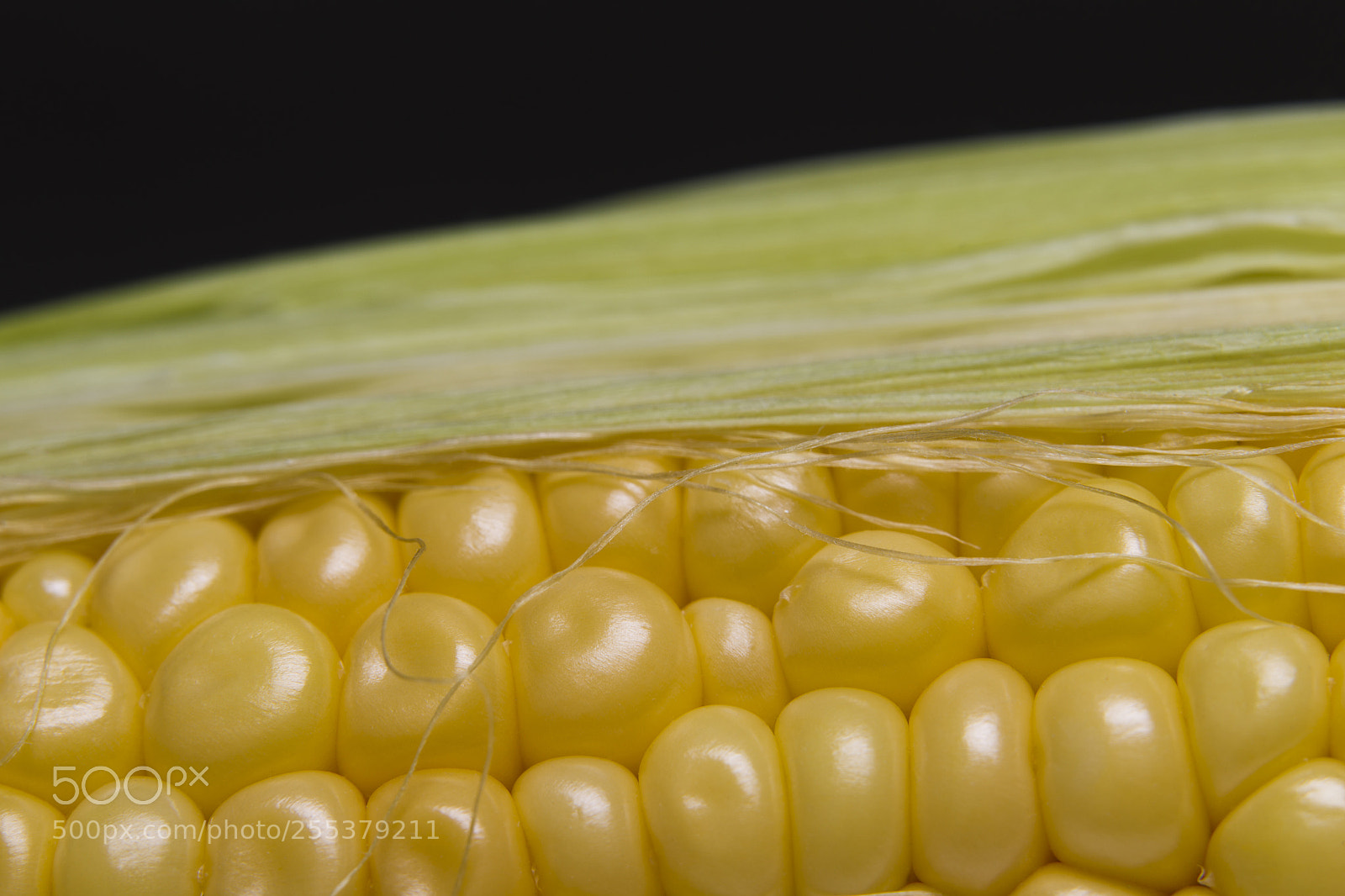 Canon EOS-1D Mark IV sample photo. Grains of corn cob photography
