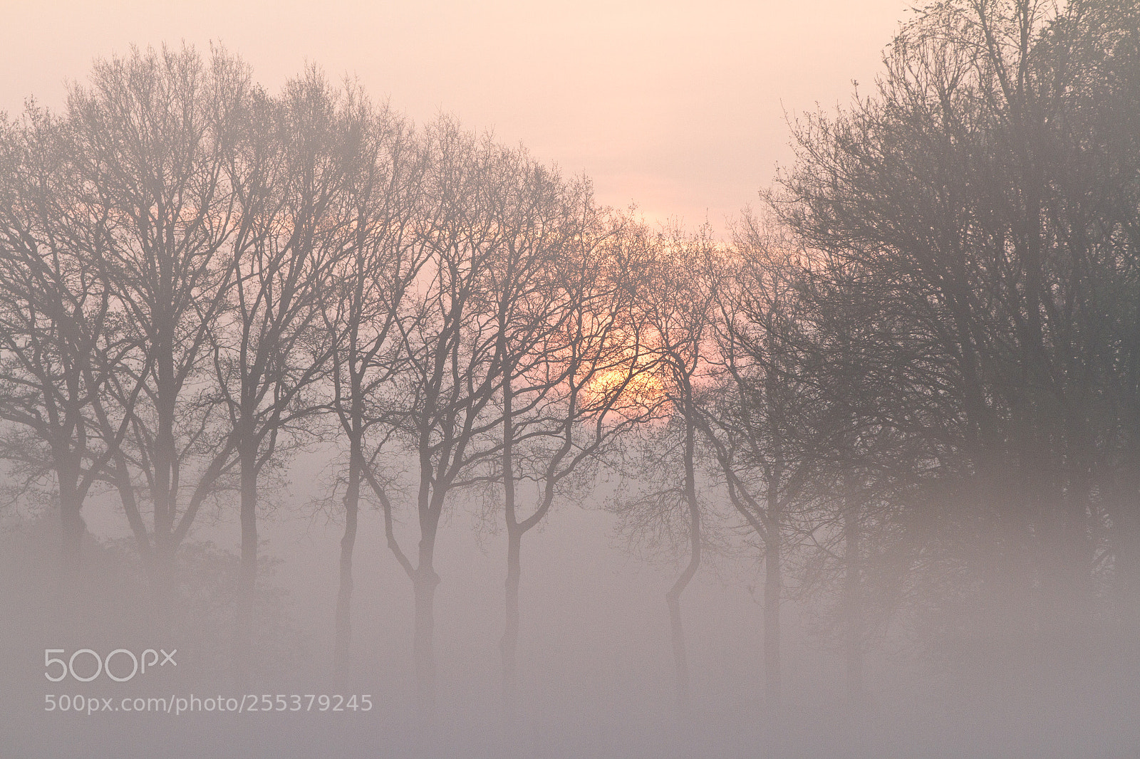 Canon EOS 7D sample photo. Ontwakend landschap photography
