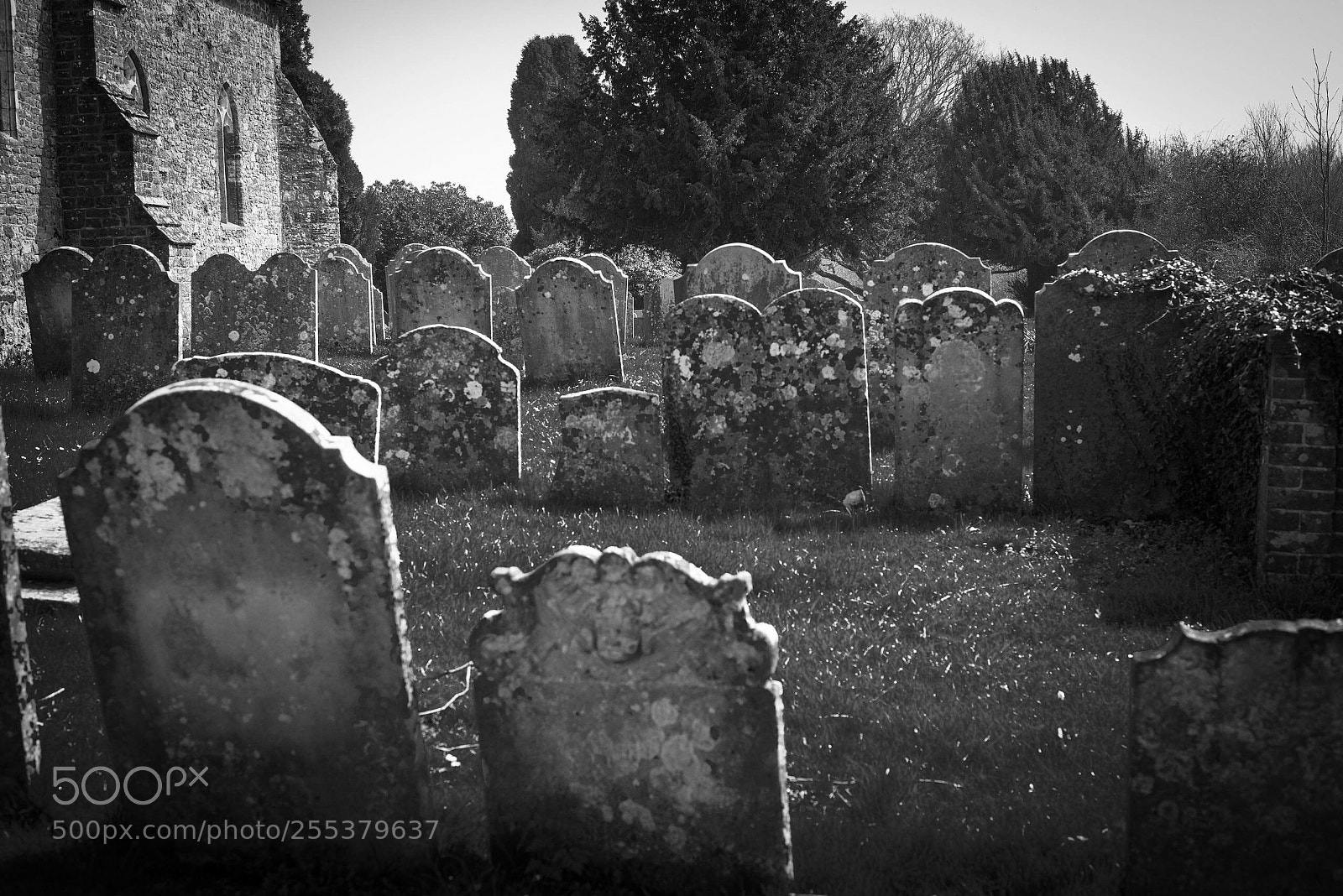 Sony a7R sample photo.  churchyard  photography