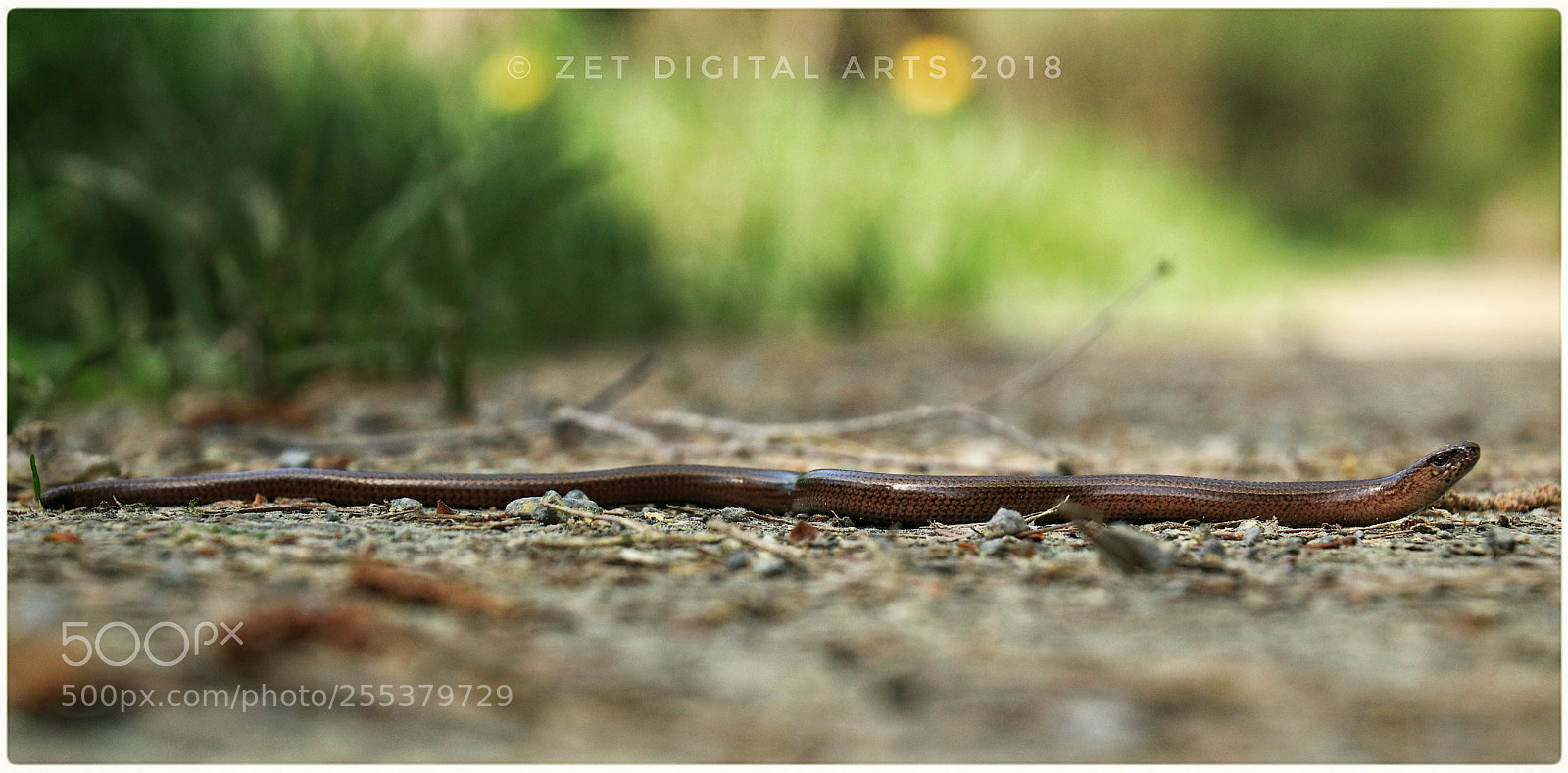 Canon EOS 80D sample photo. Untitled photography