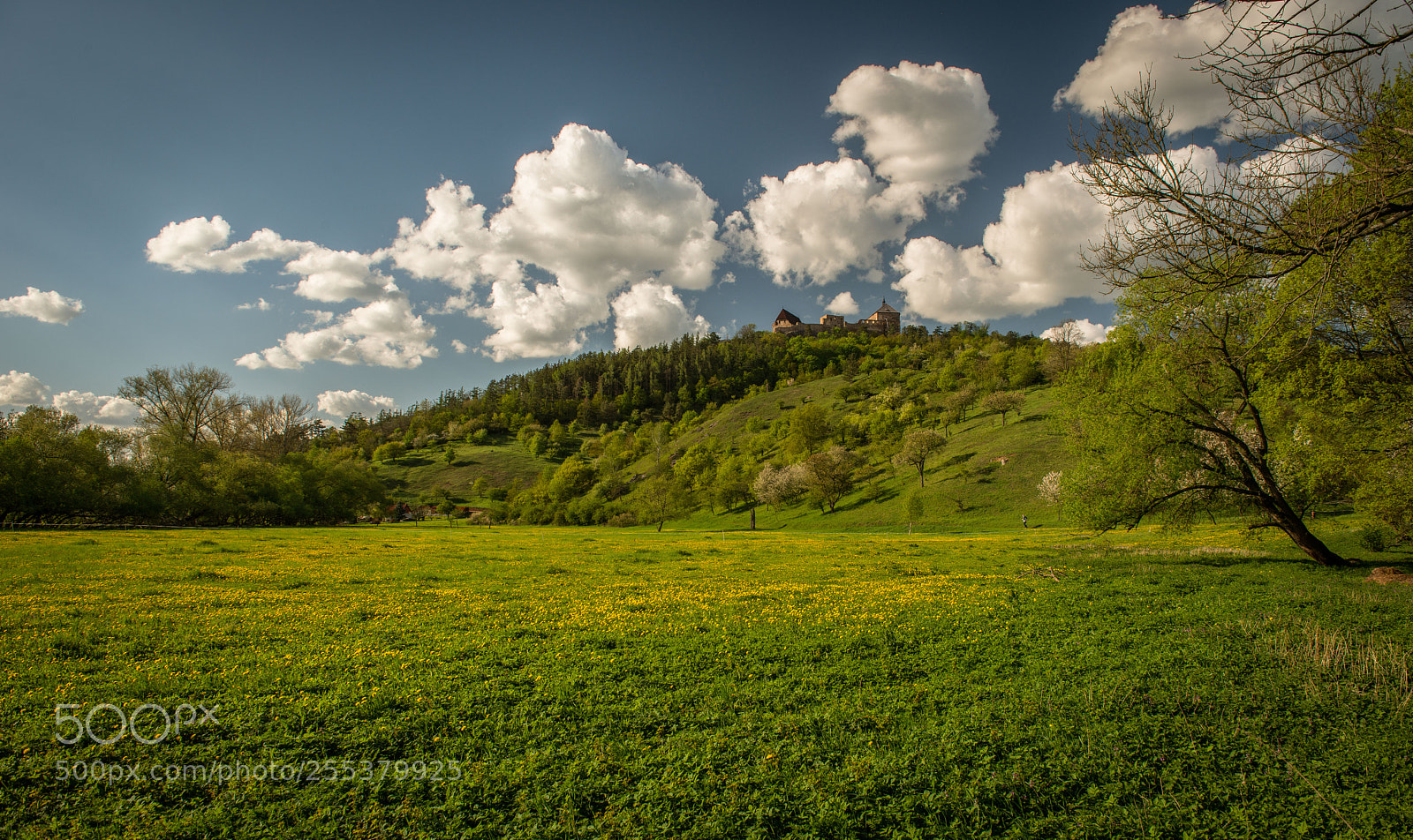 Nikon D800 sample photo. Točník photography