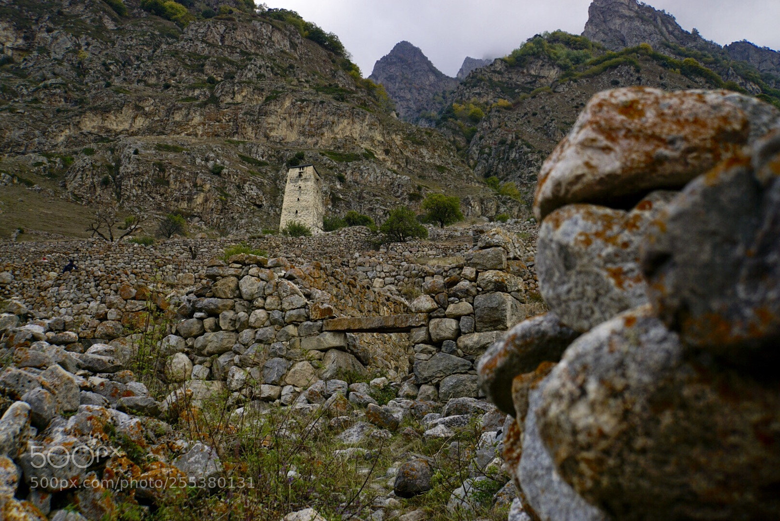 Sony a6000 sample photo. Untitled photography