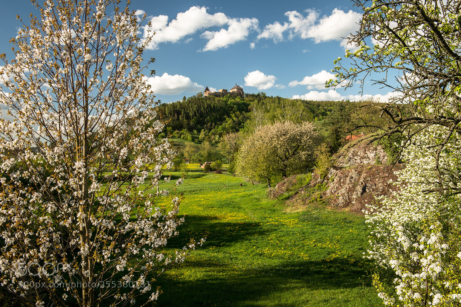 Nikon D800 sample photo. Točník ii photography