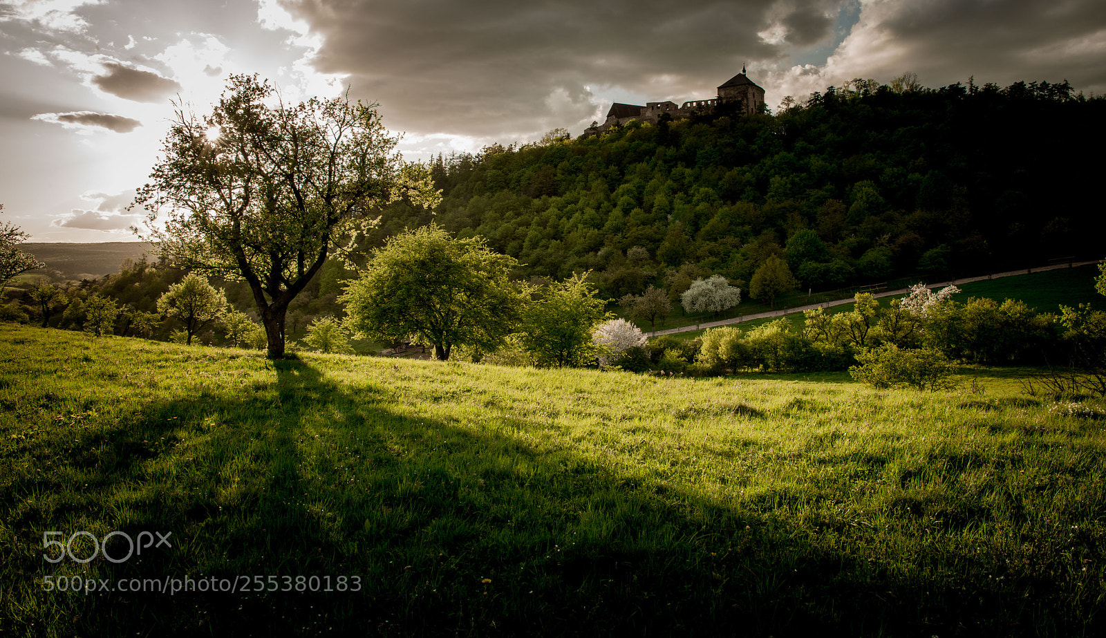 Nikon D800 sample photo. Točník iii photography