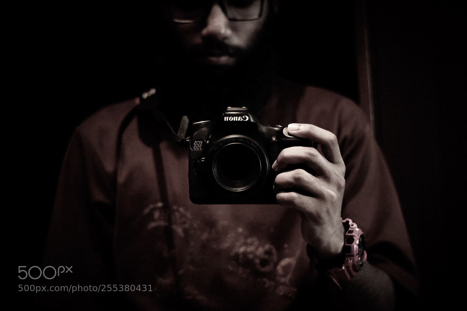 Canon EOS 70D sample photo. The clich dslr camera photography