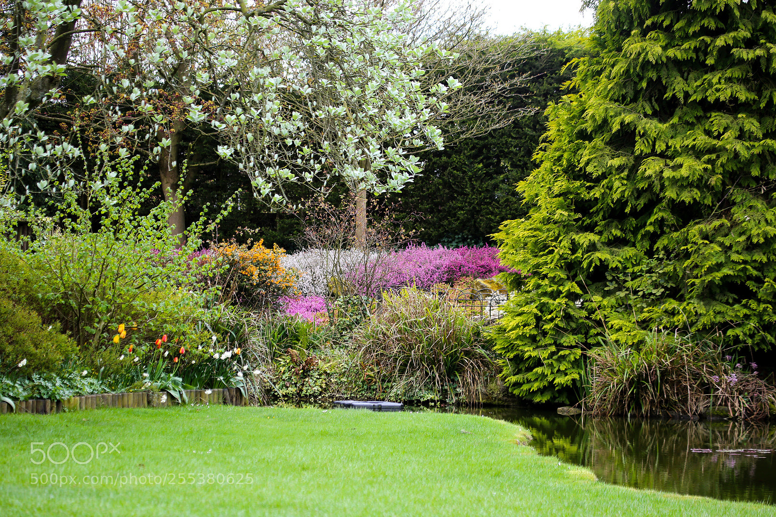 Canon EOS 6D sample photo. Tranquil garden photography