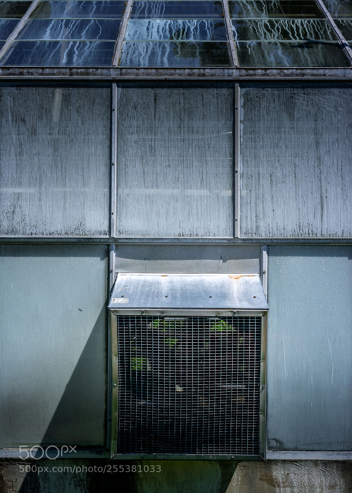 Pentax K-r sample photo. Hothouse abstract photography