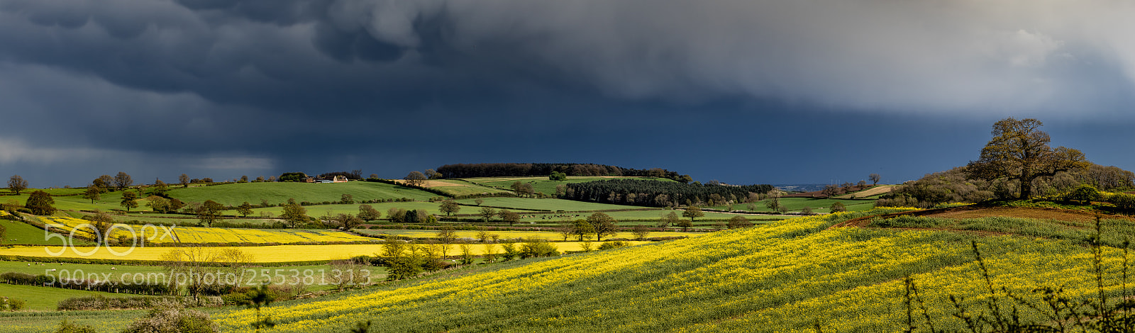 Canon EOS 80D sample photo. Thunder clouds fields photography