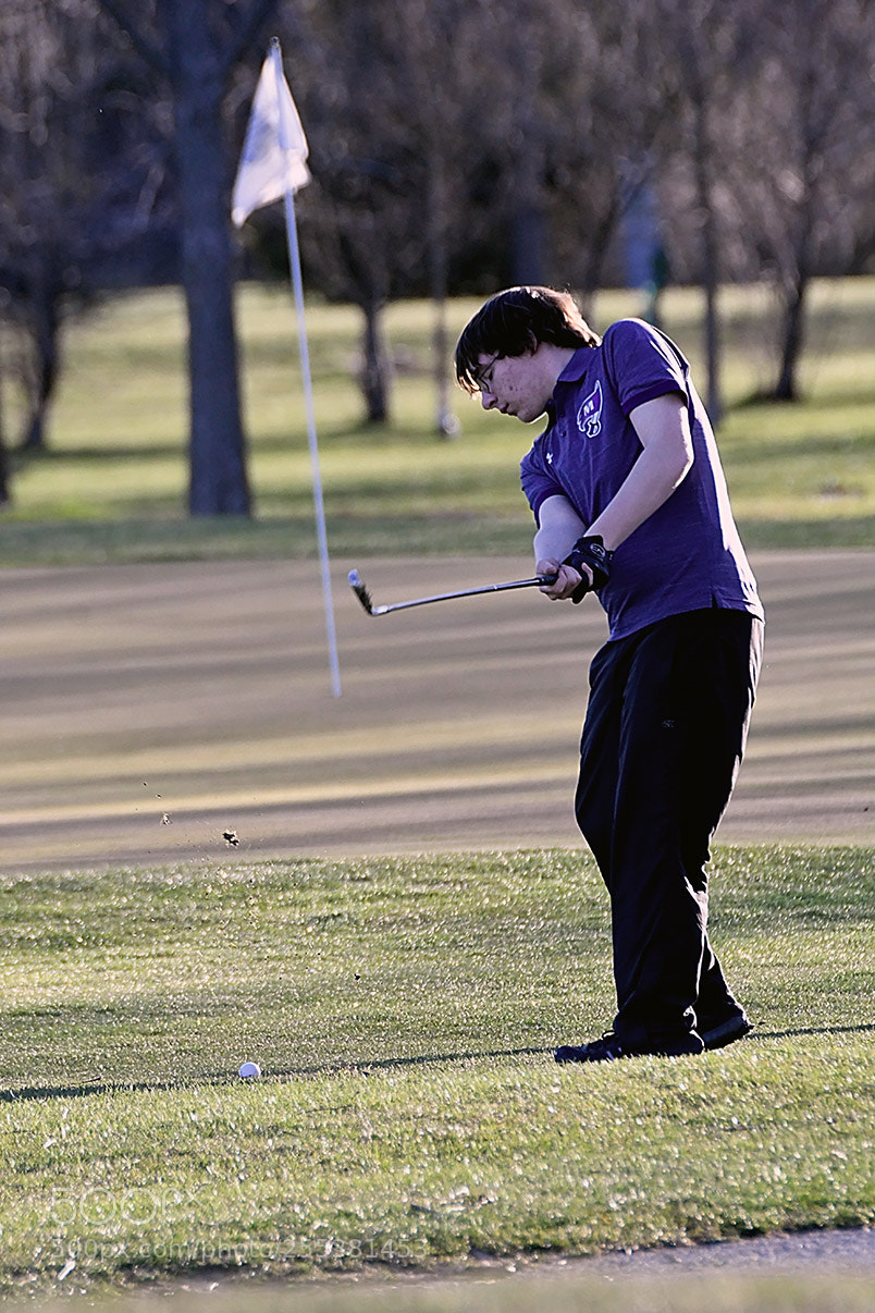 Nikon D500 sample photo. Dsc photography