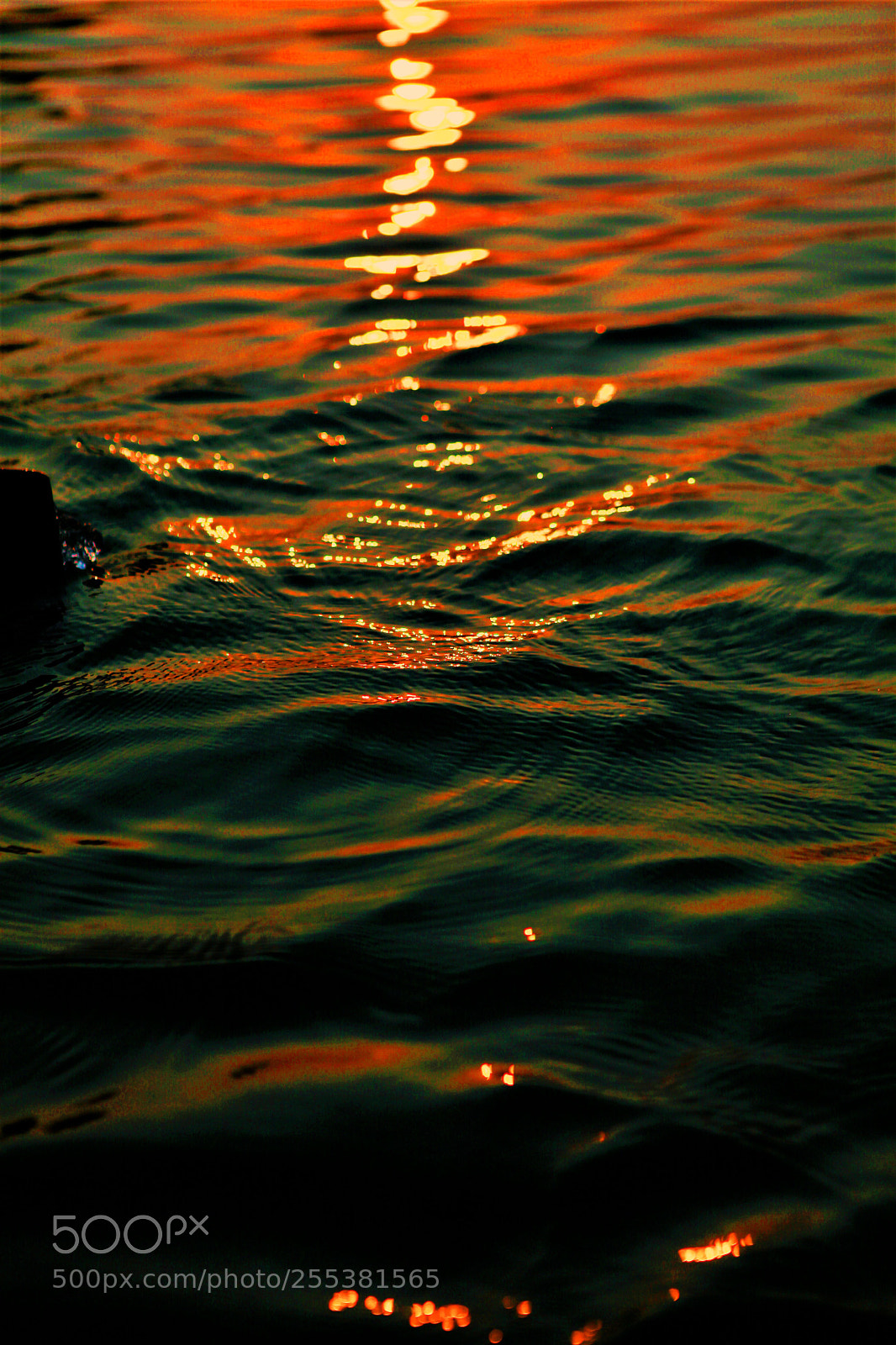 Canon EOS 5D Mark II sample photo. A ray of hope photography
