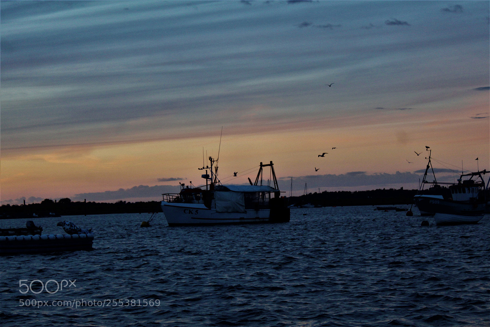 Canon EOS 1300D (EOS Rebel T6 / EOS Kiss X80) sample photo. Mersea photography