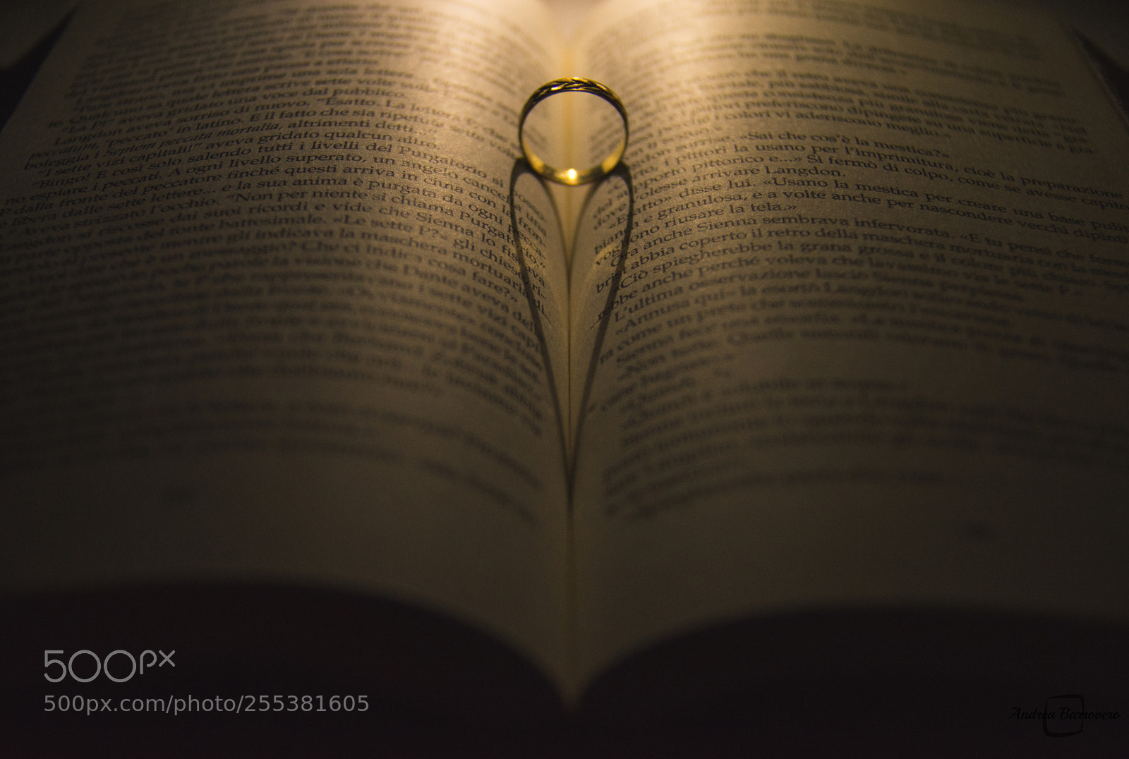 Nikon D7200 sample photo. In my heart photography