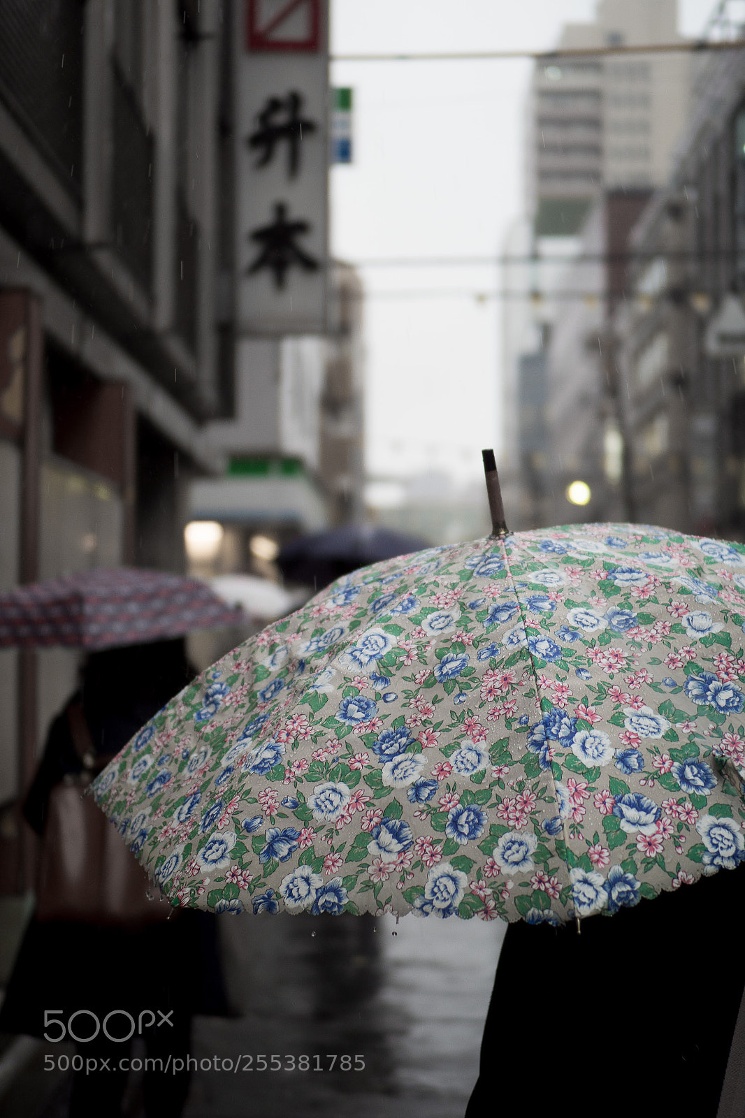 Olympus OM-D E-M1 Mark II sample photo. Rainy photography